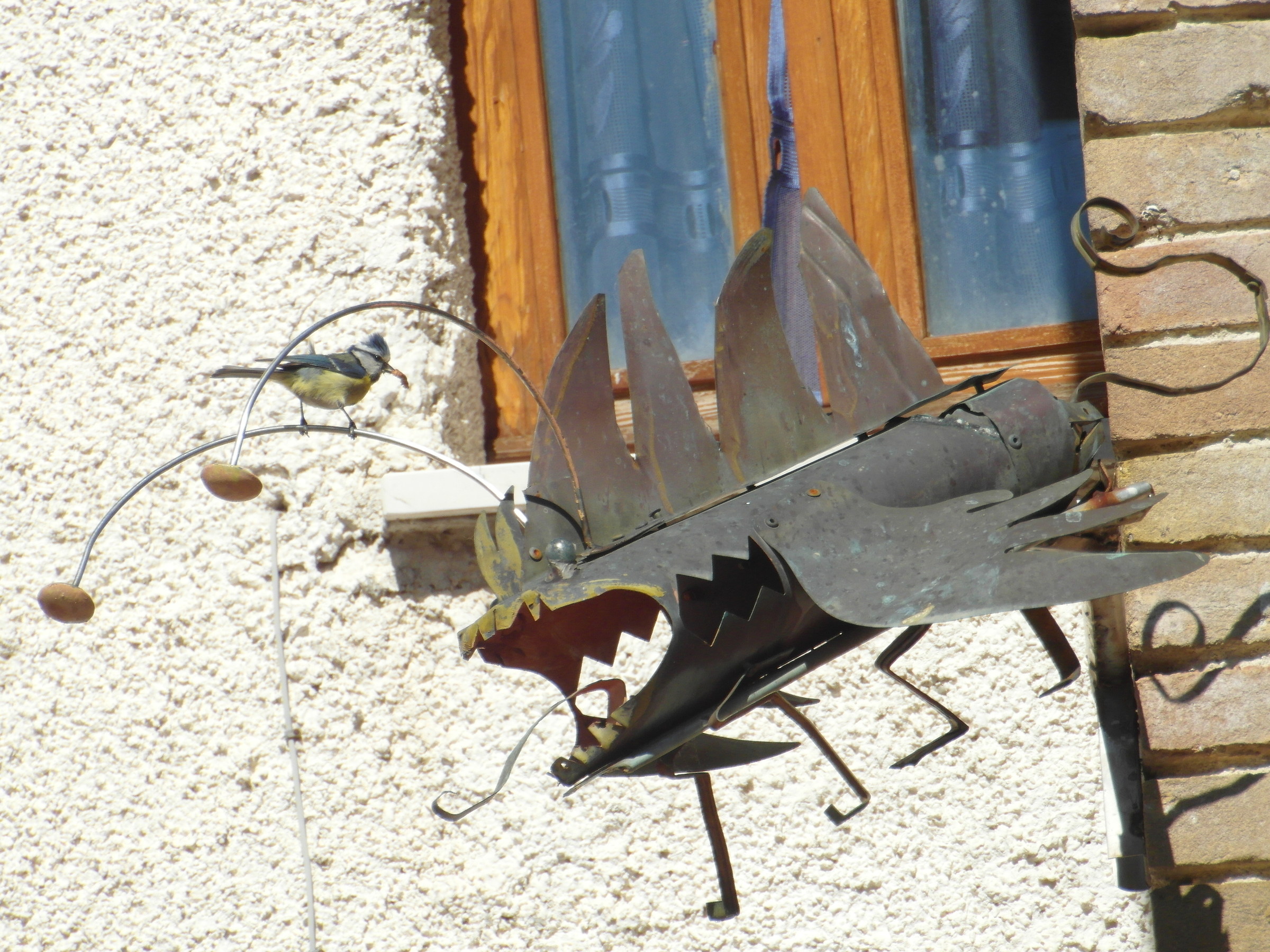 Dialogue between bird and iron fish