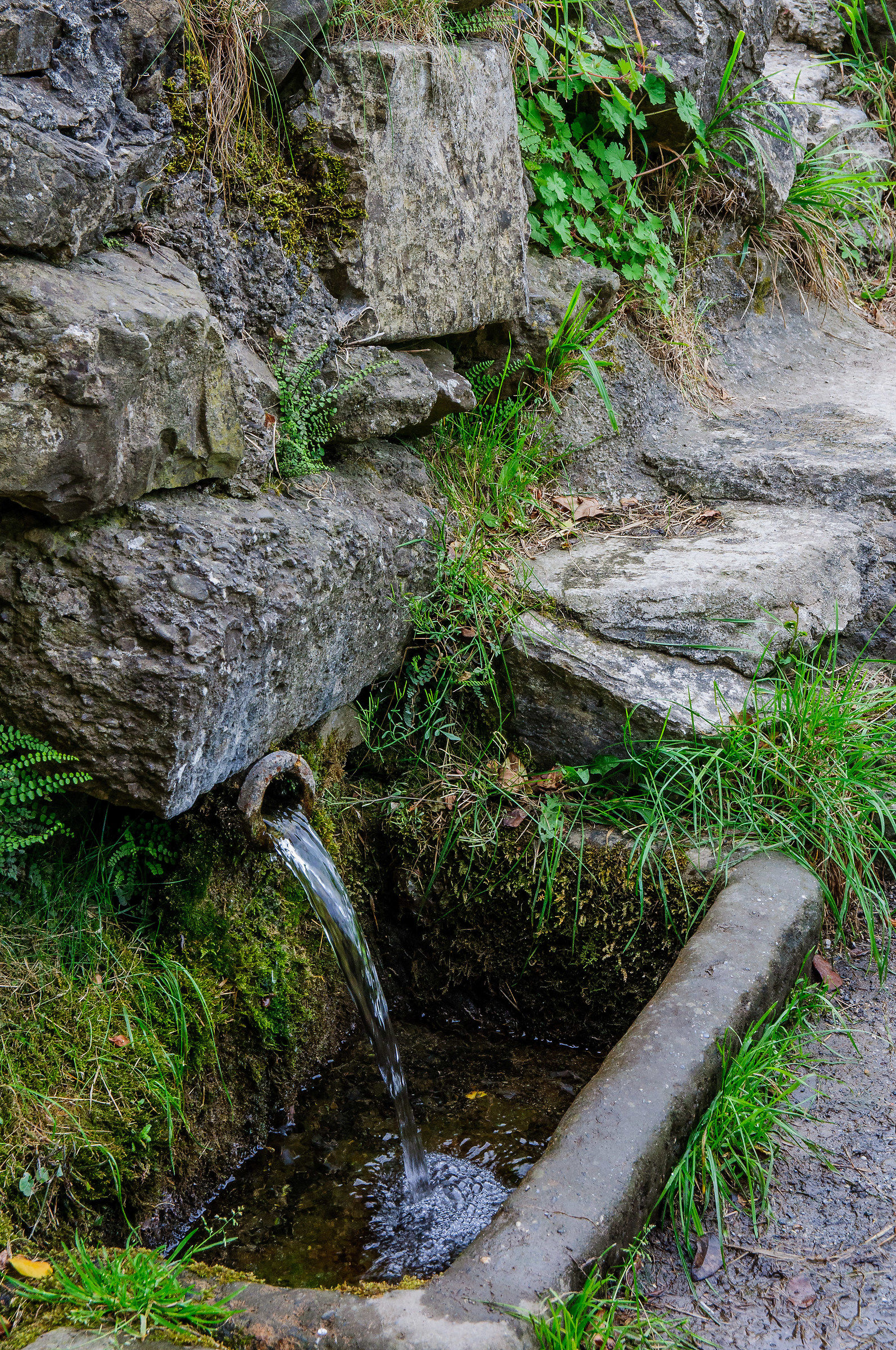 The most important element