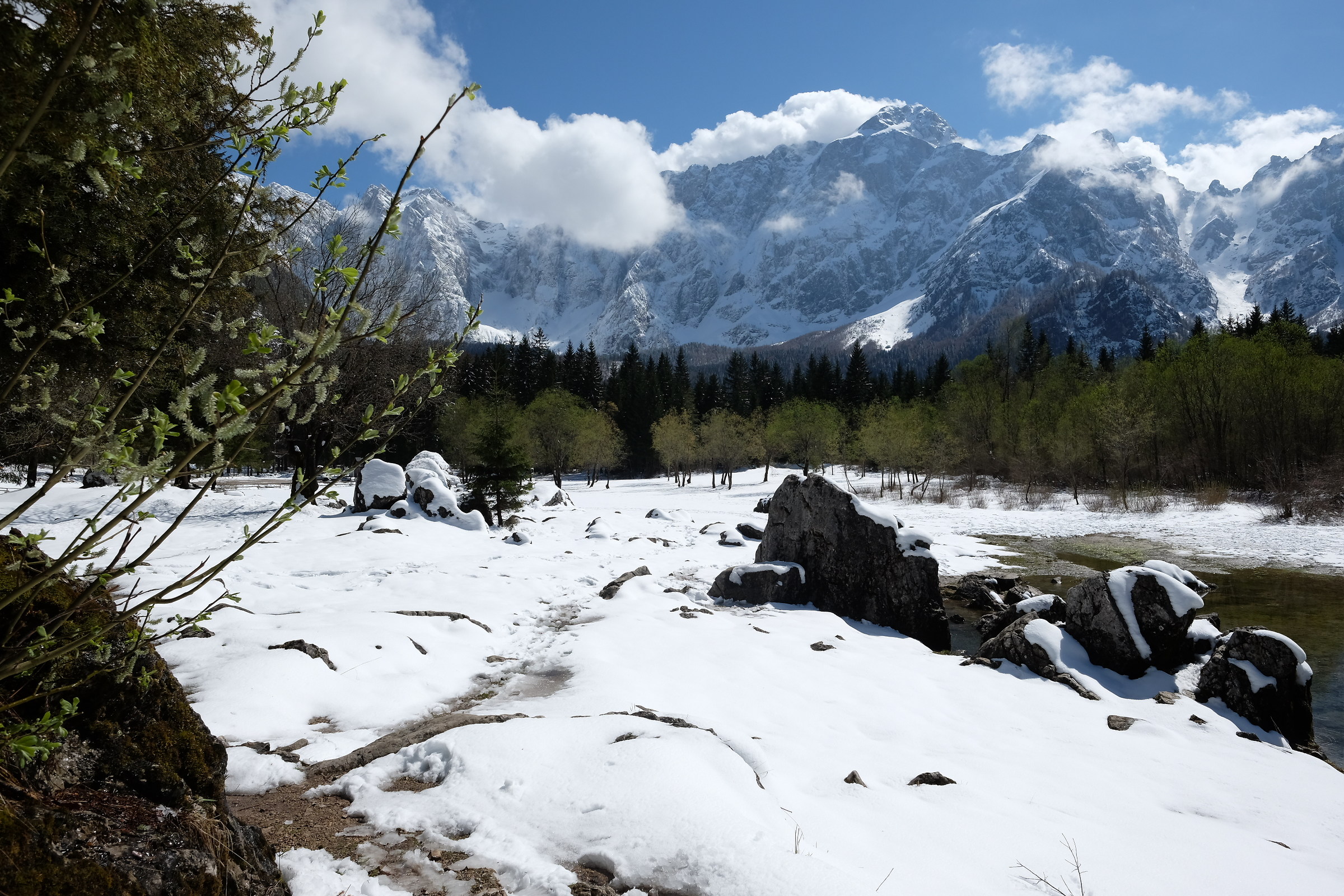 Spring struggles to blossom at Fusine Lakes