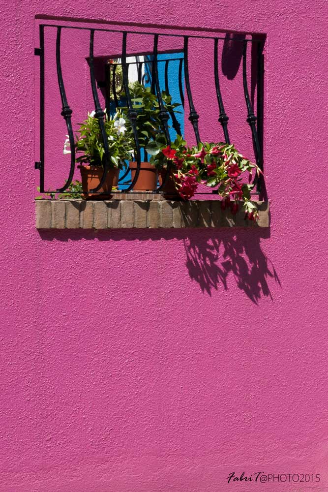 window in the window