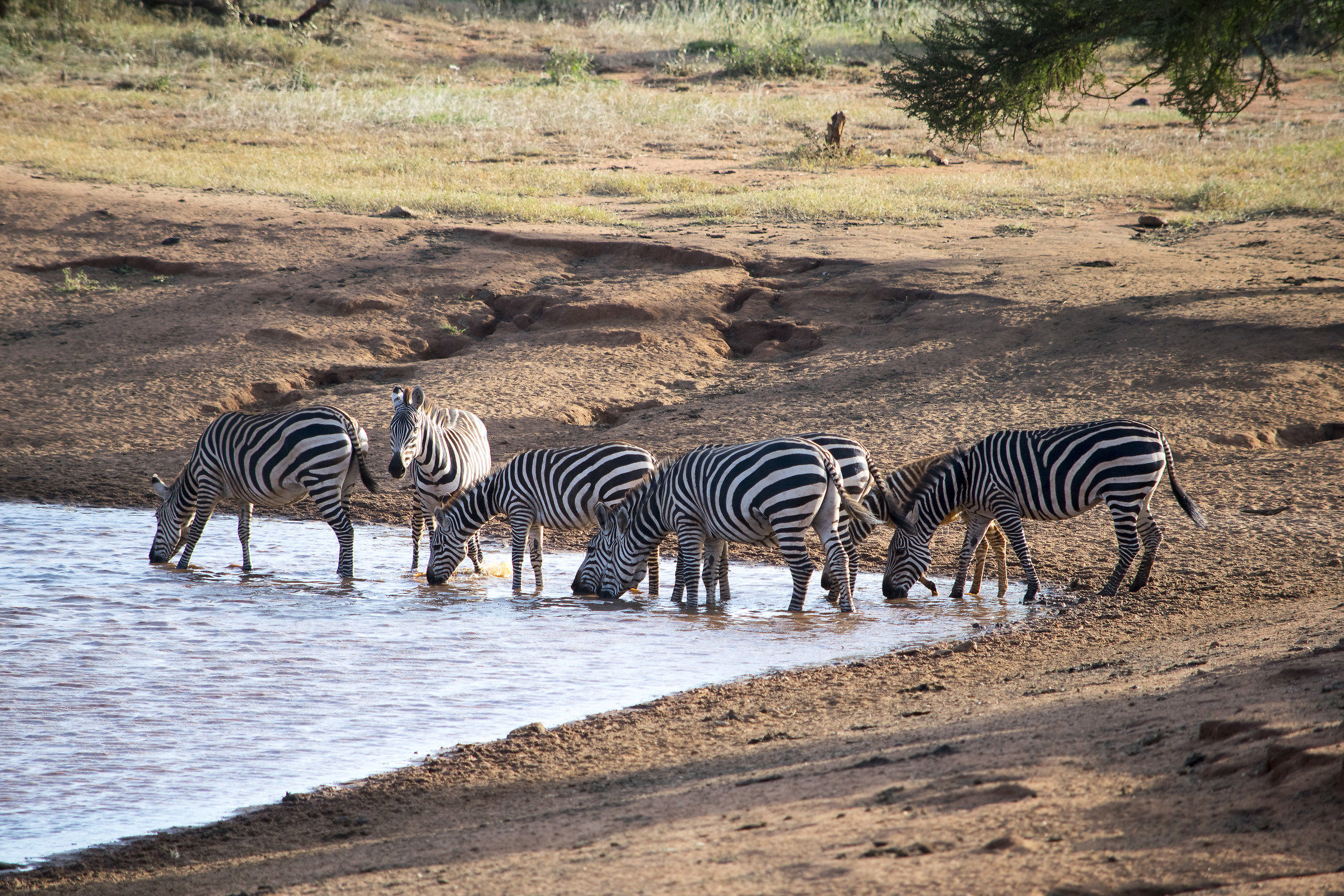 Taita Hill private reserve