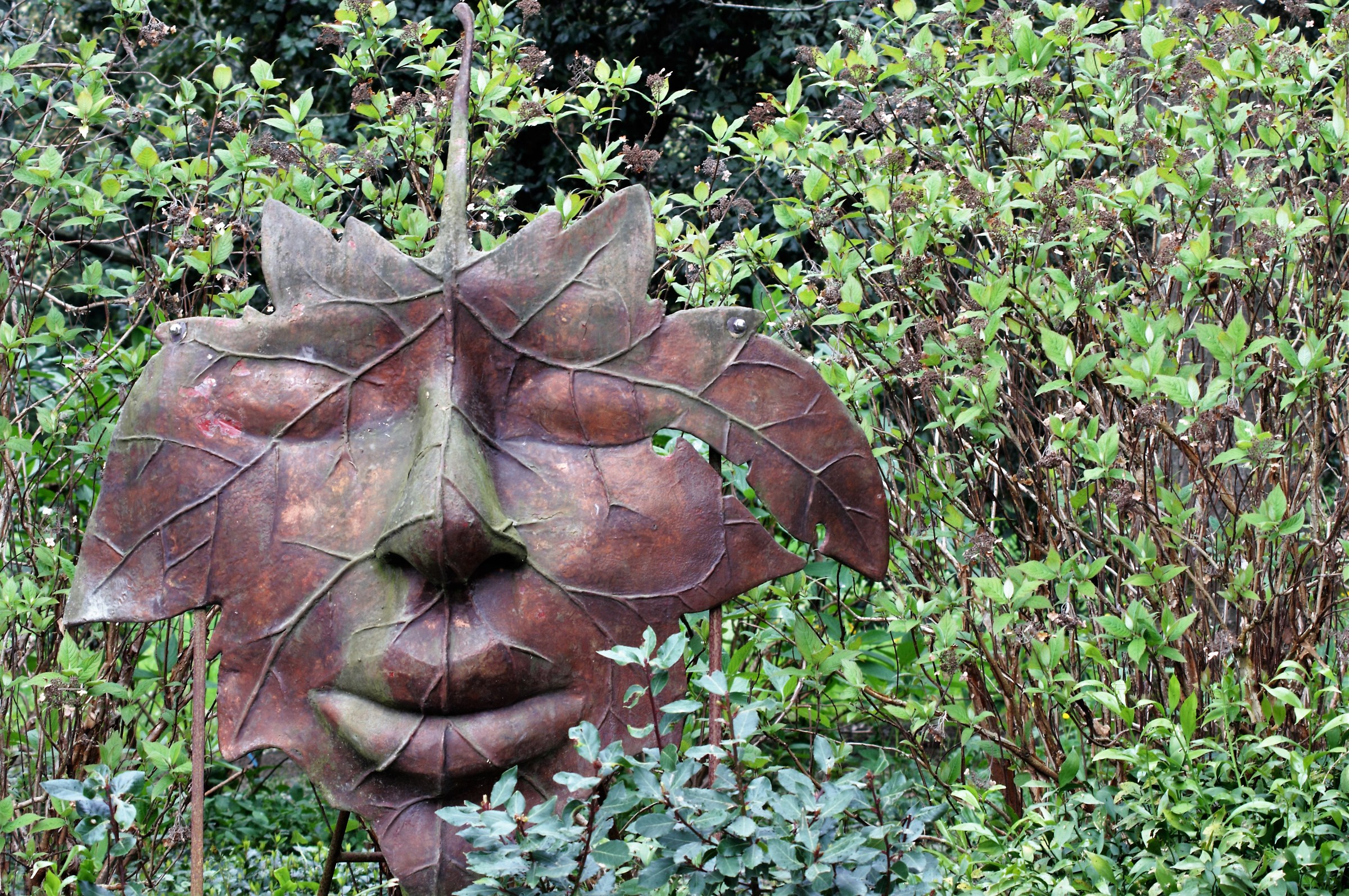 The Mask In The Woods