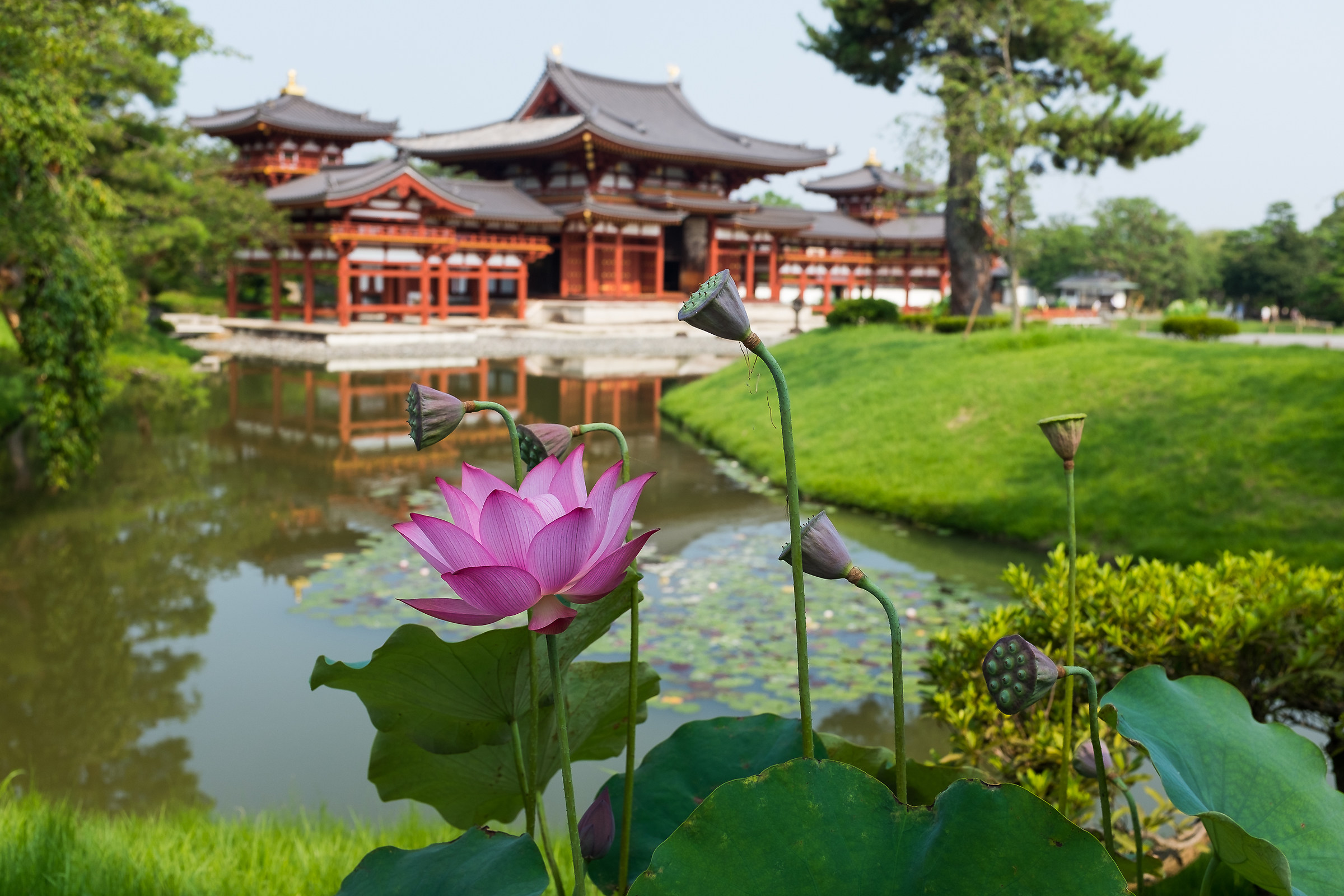 Byodo-in, Uji