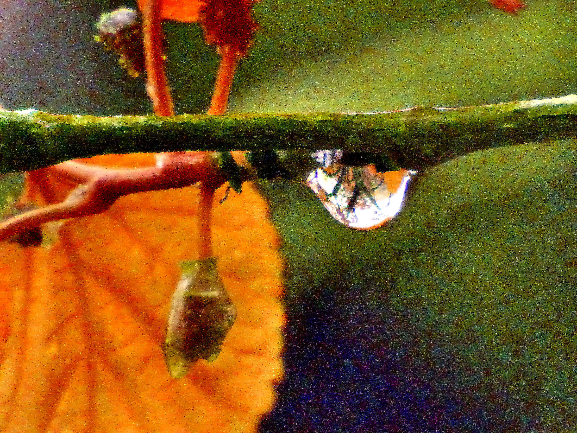 Una goccia di pioggia