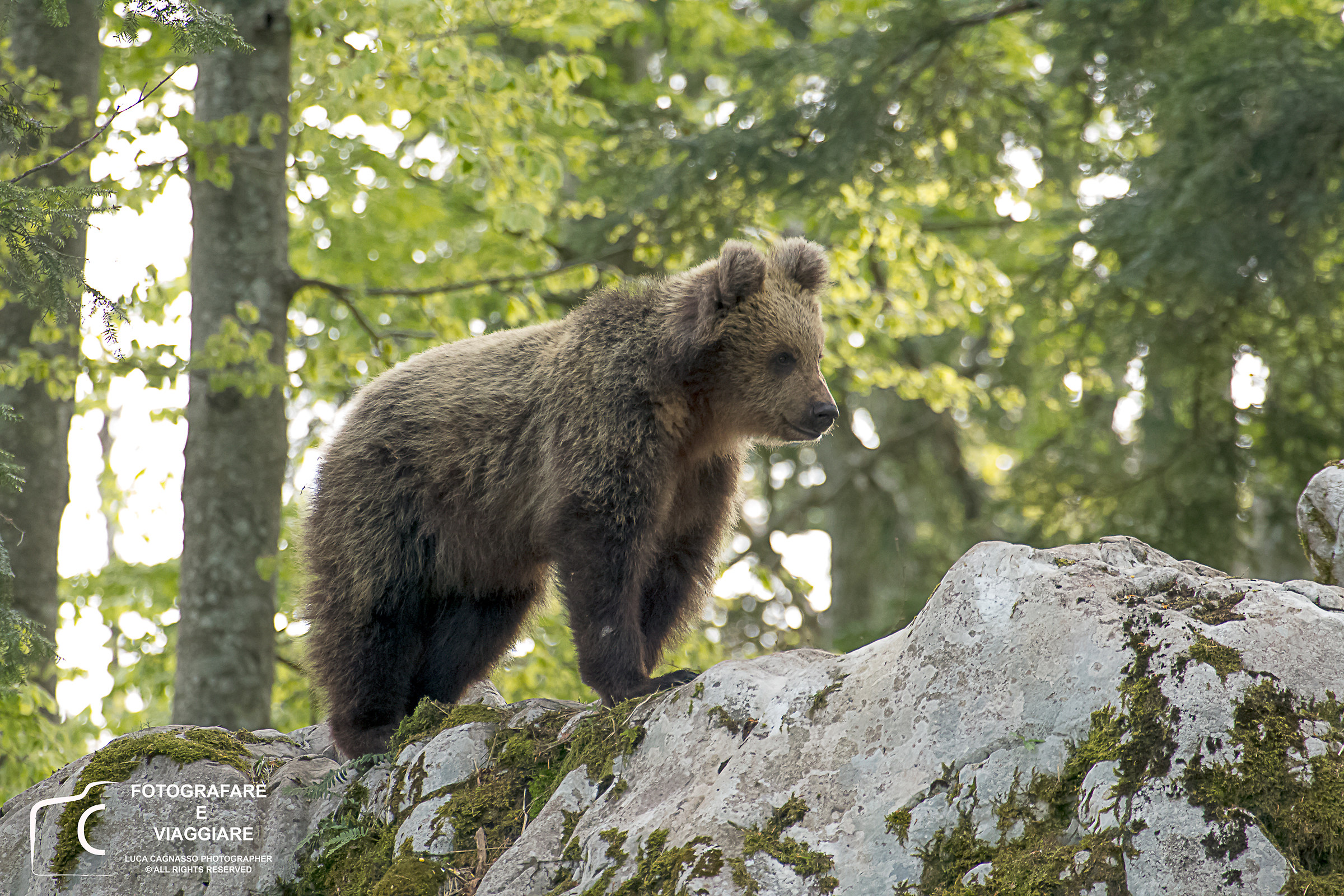 Slovenia Workshop 001