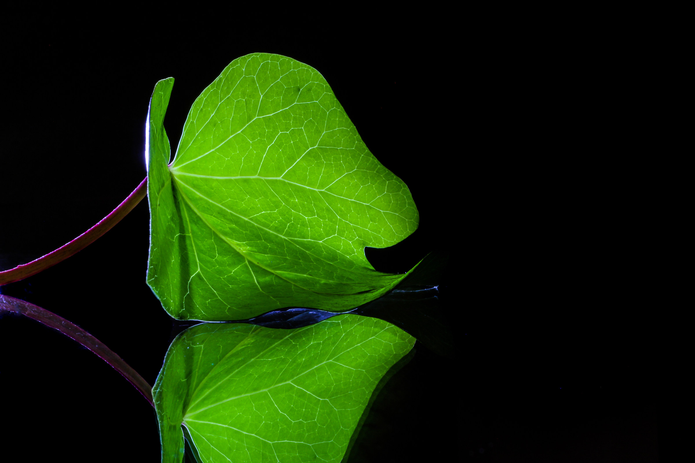 Glass leaf