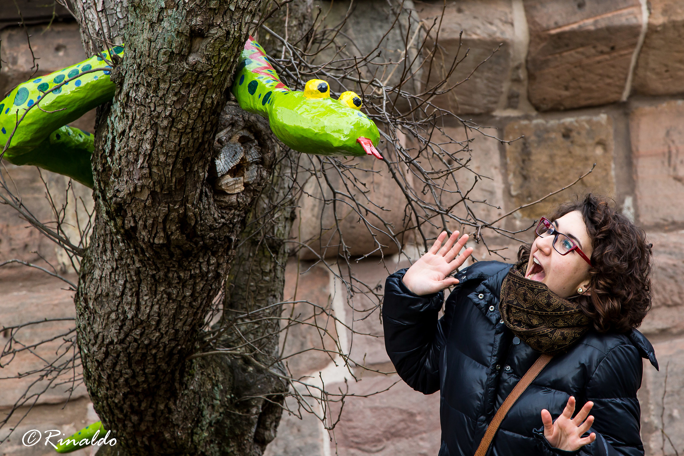 Eve and the forbidden tree