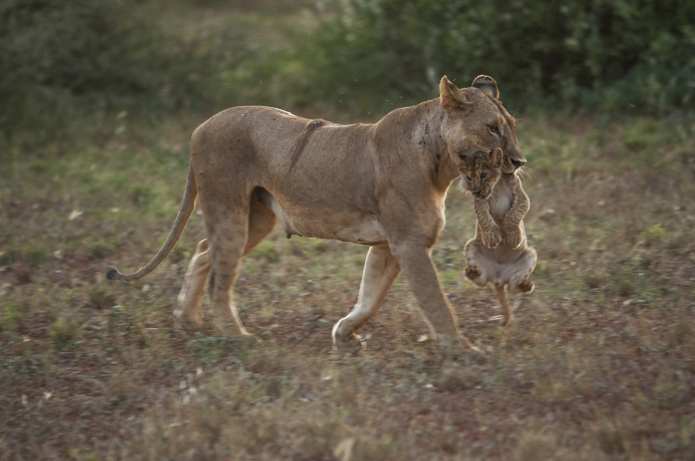 it's time to go home ...