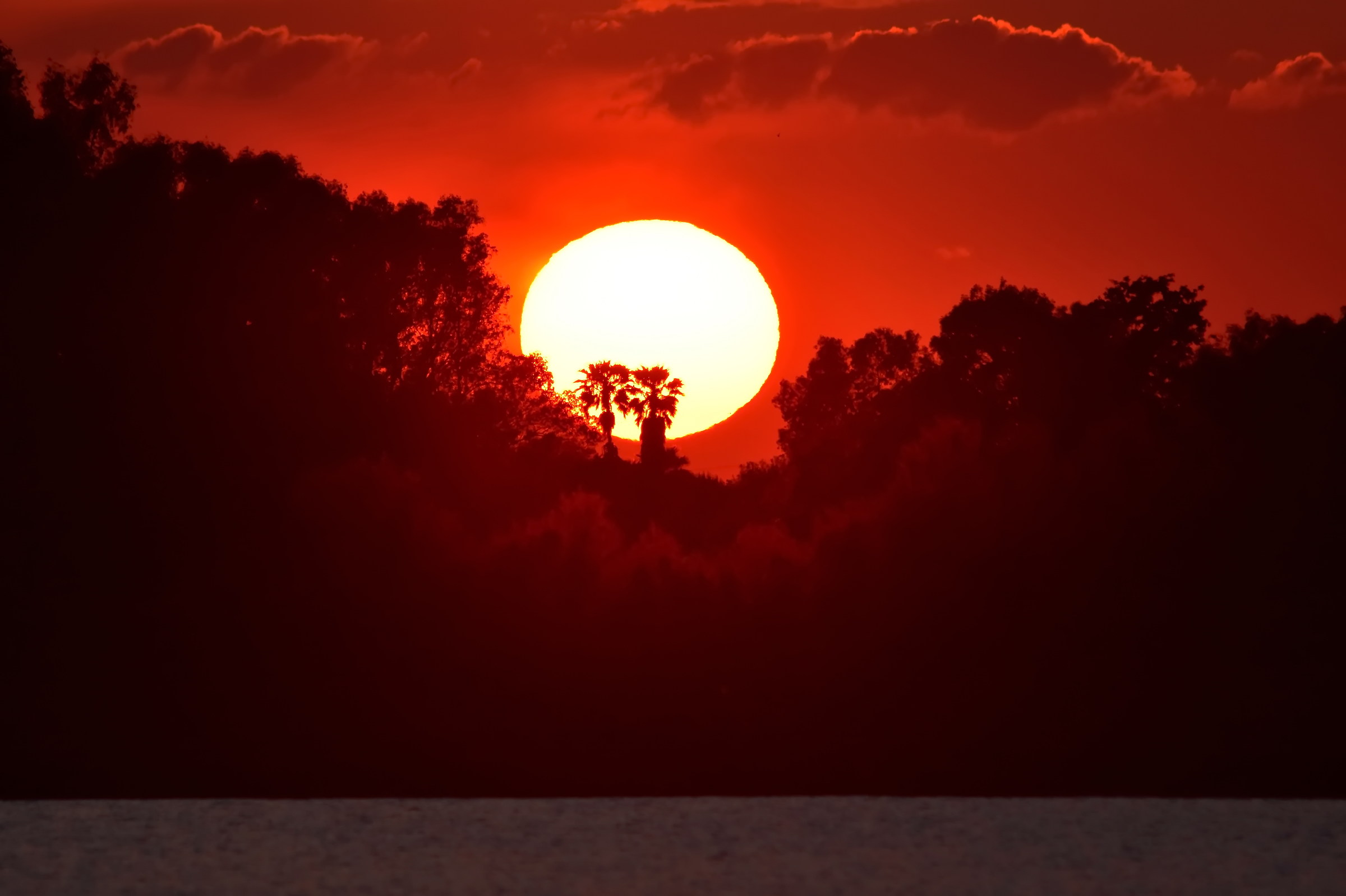 Tonight (Lake fogliano 2)