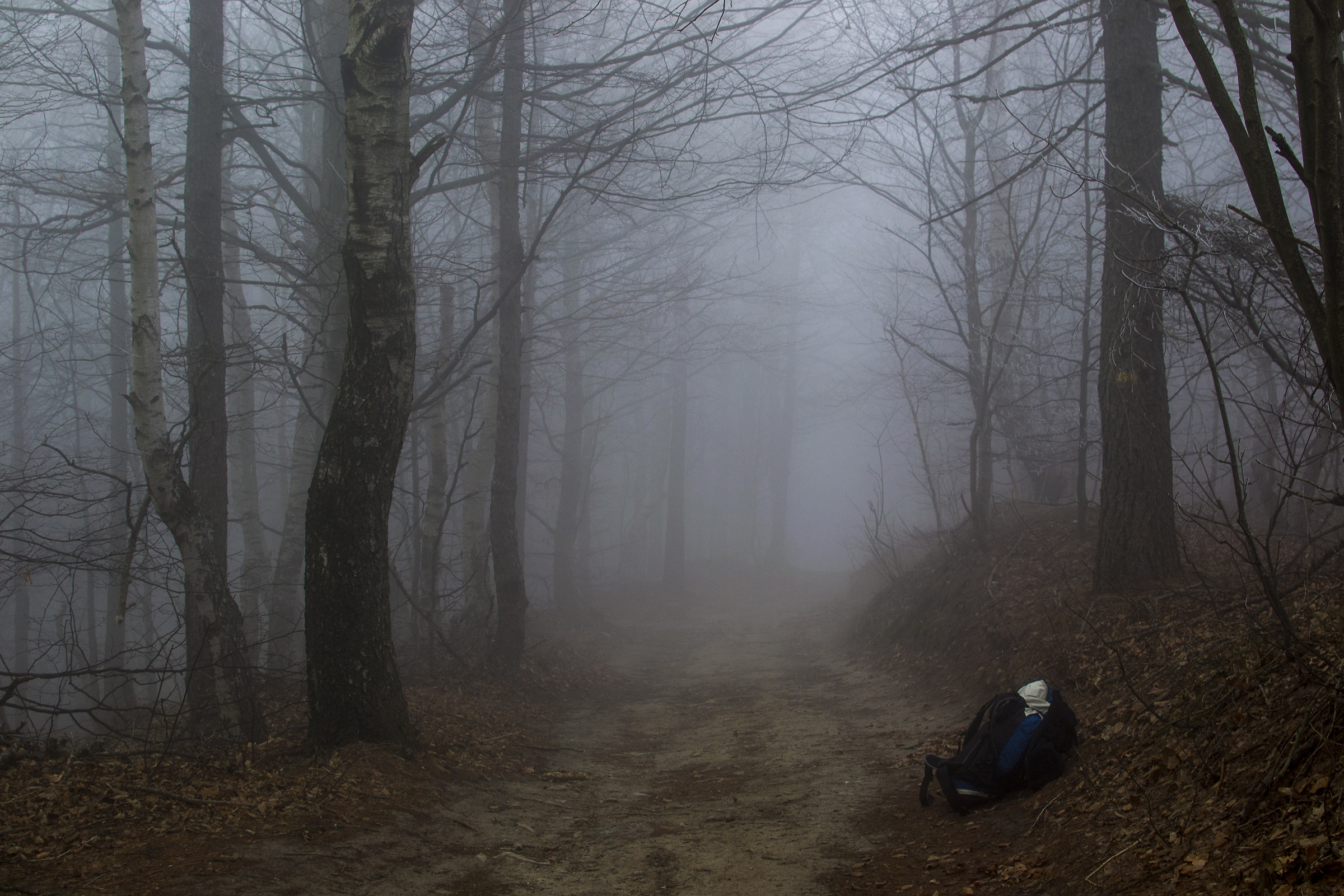 Just before getting into gear