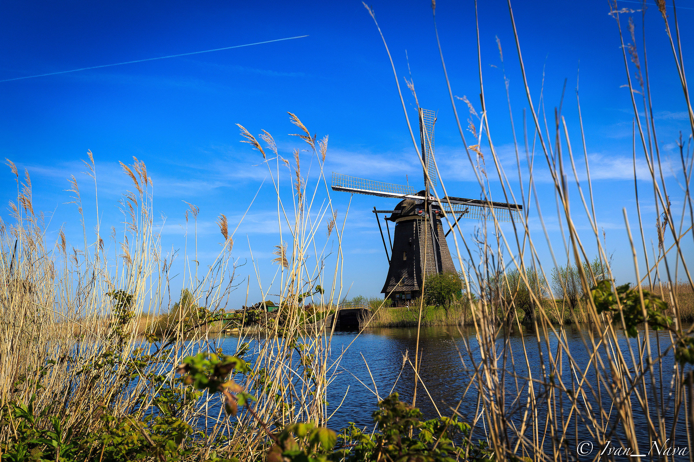 Kinderdijk