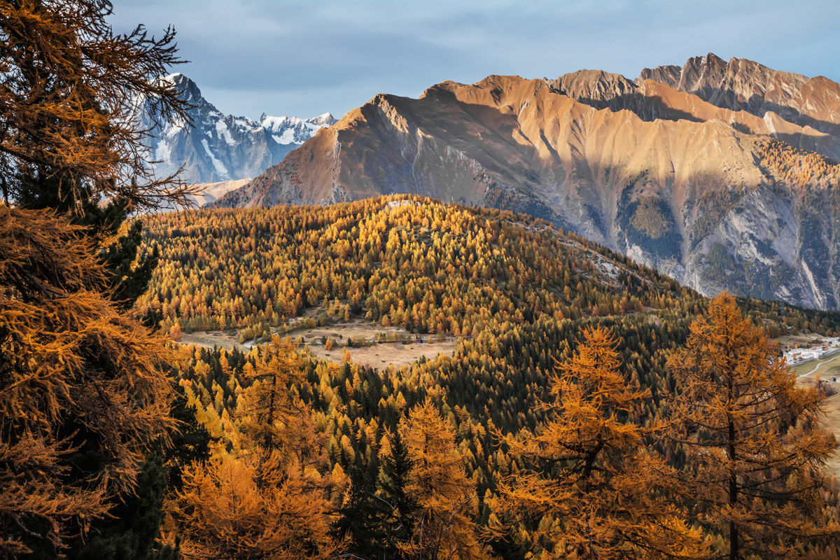 I colori della natura