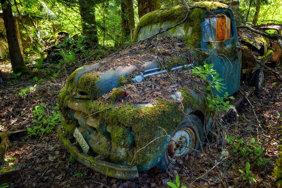 Hillbilly Truck, Washington