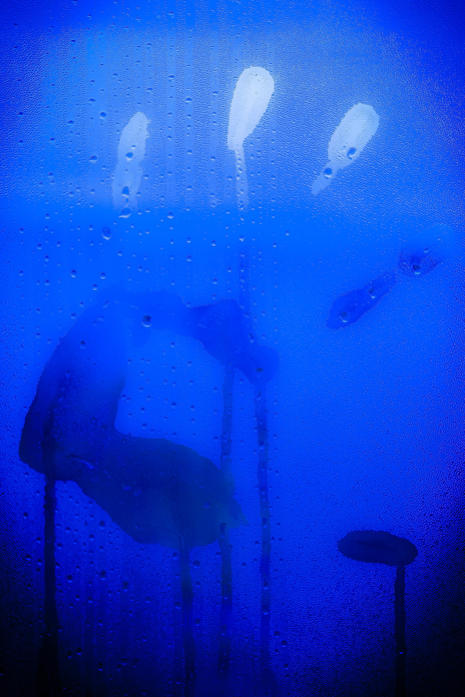 let me in, it's cold outside