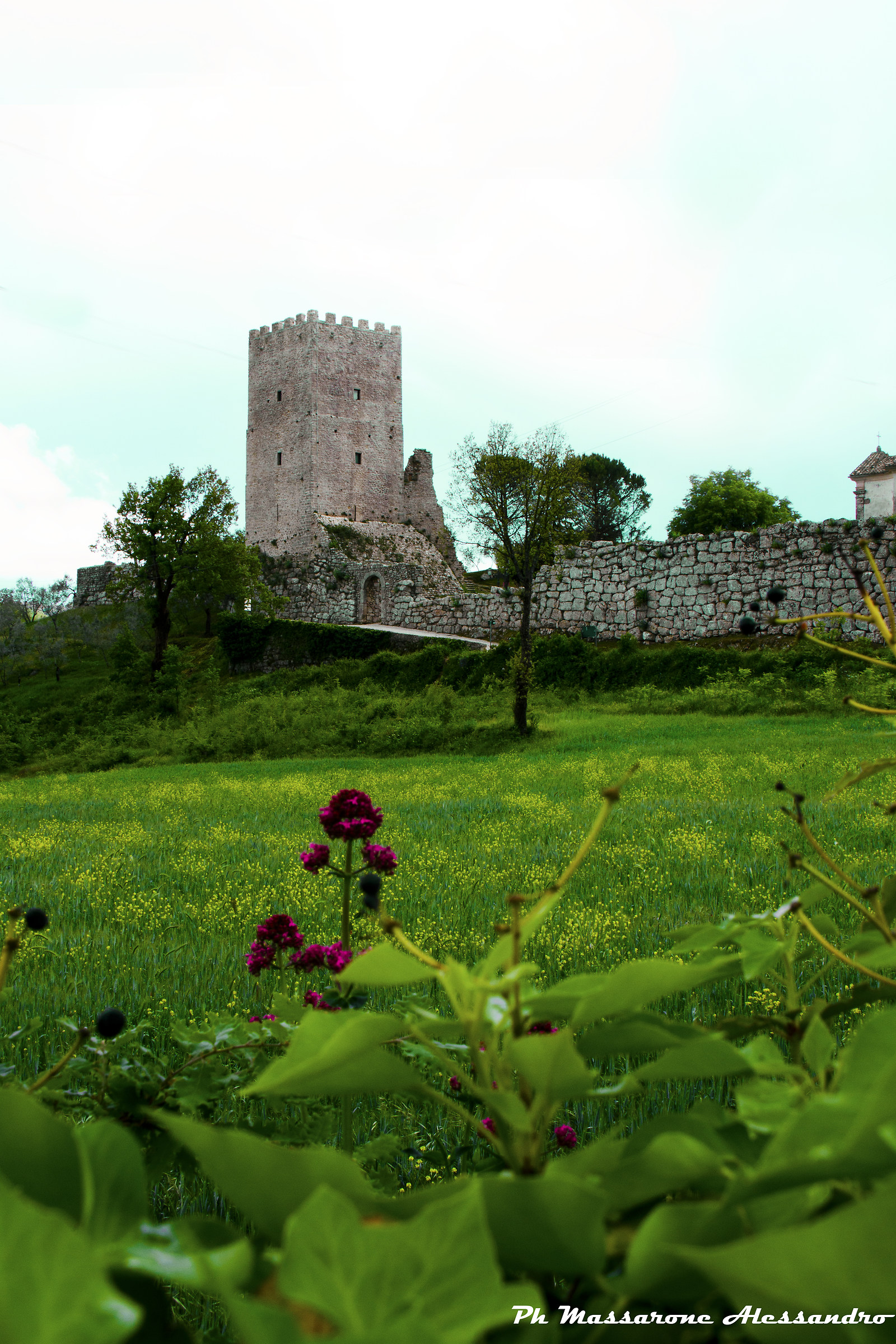 La patria di Cicerone