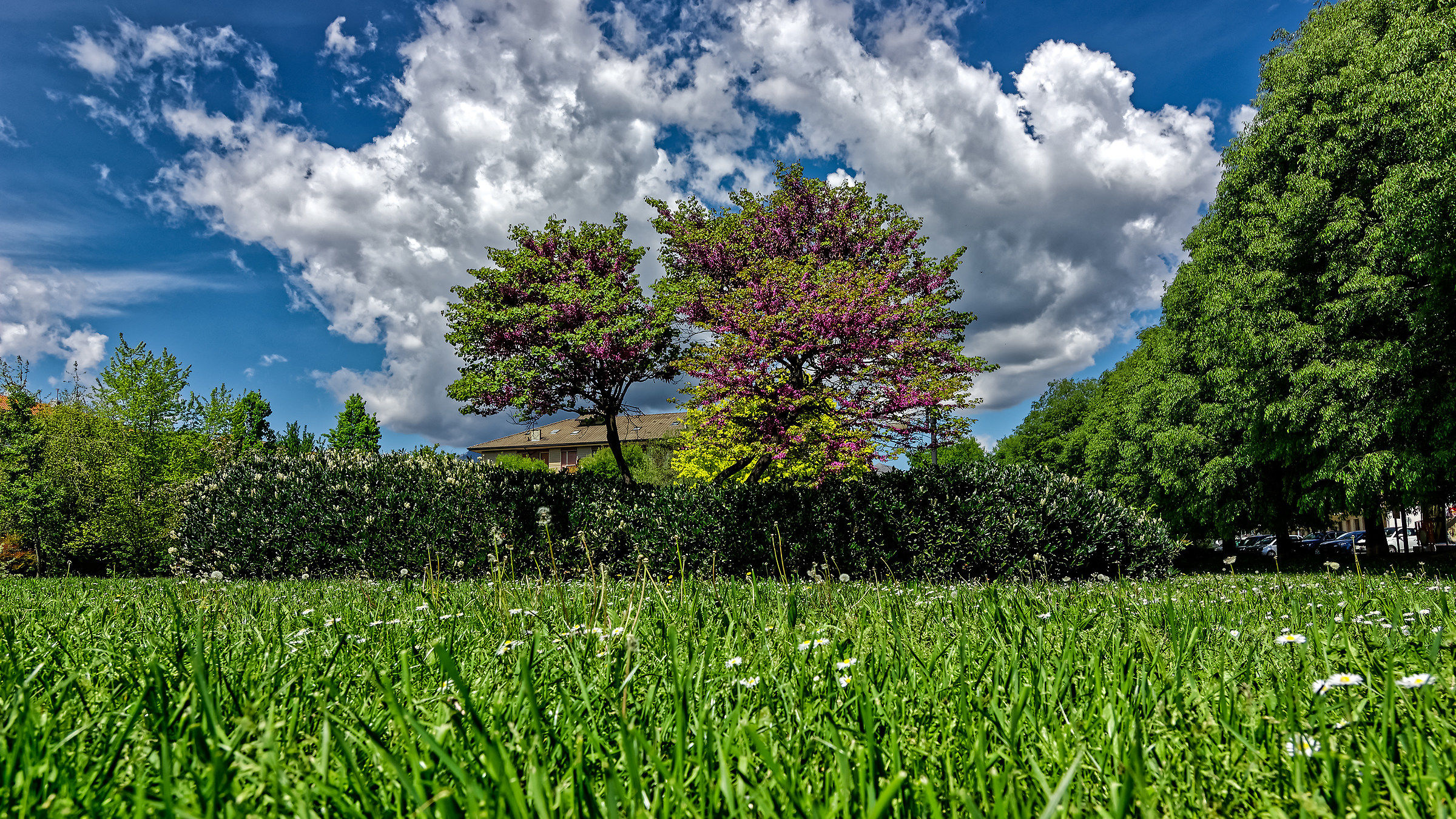 rod: garden carlo alberto from the church