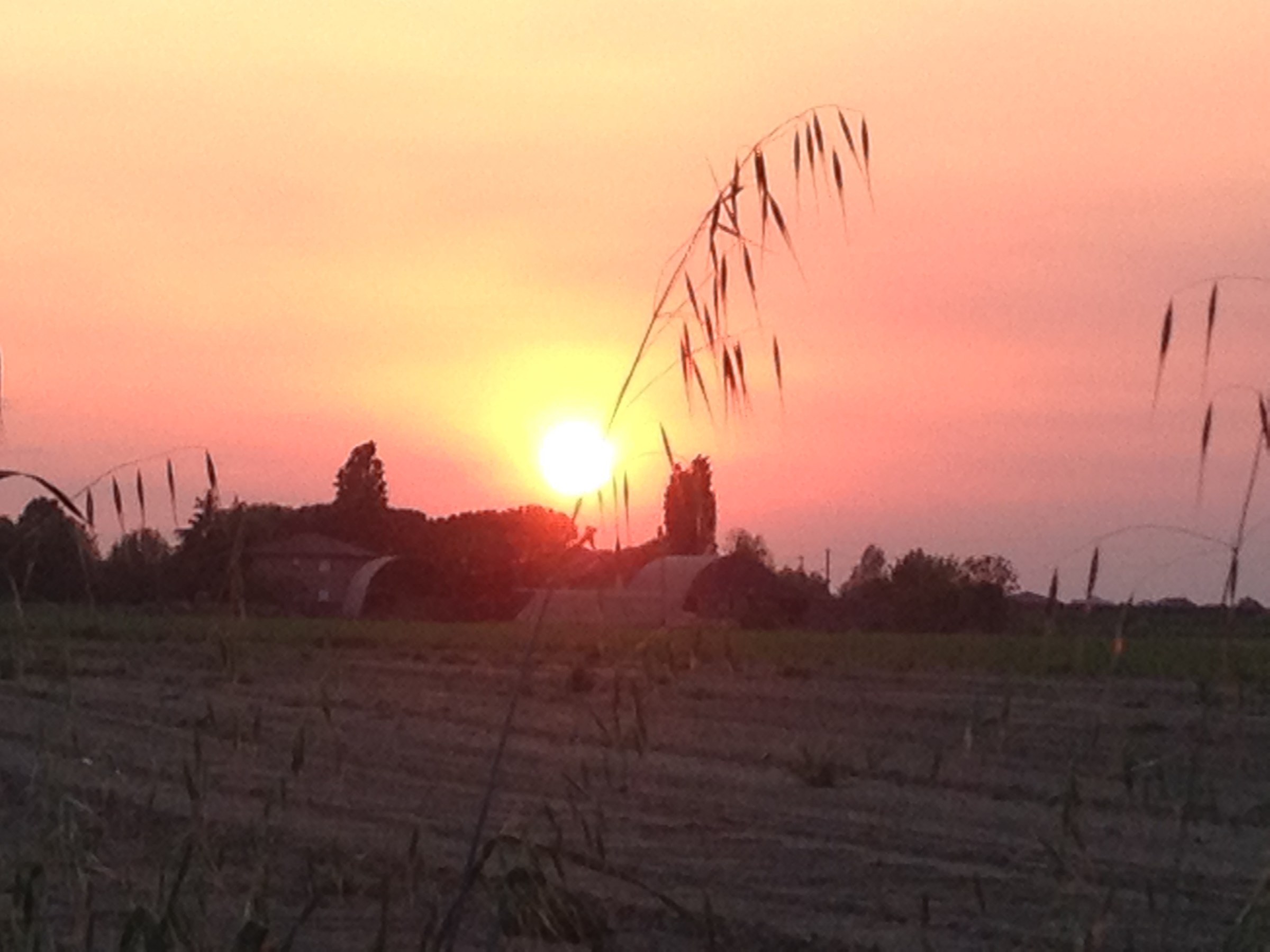 As the sun sets over the fields Emiliani