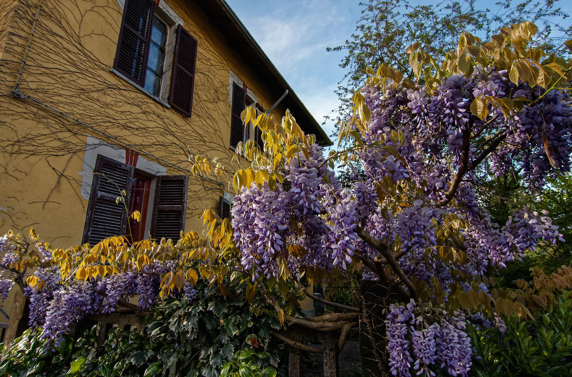 La Casa del Glicine