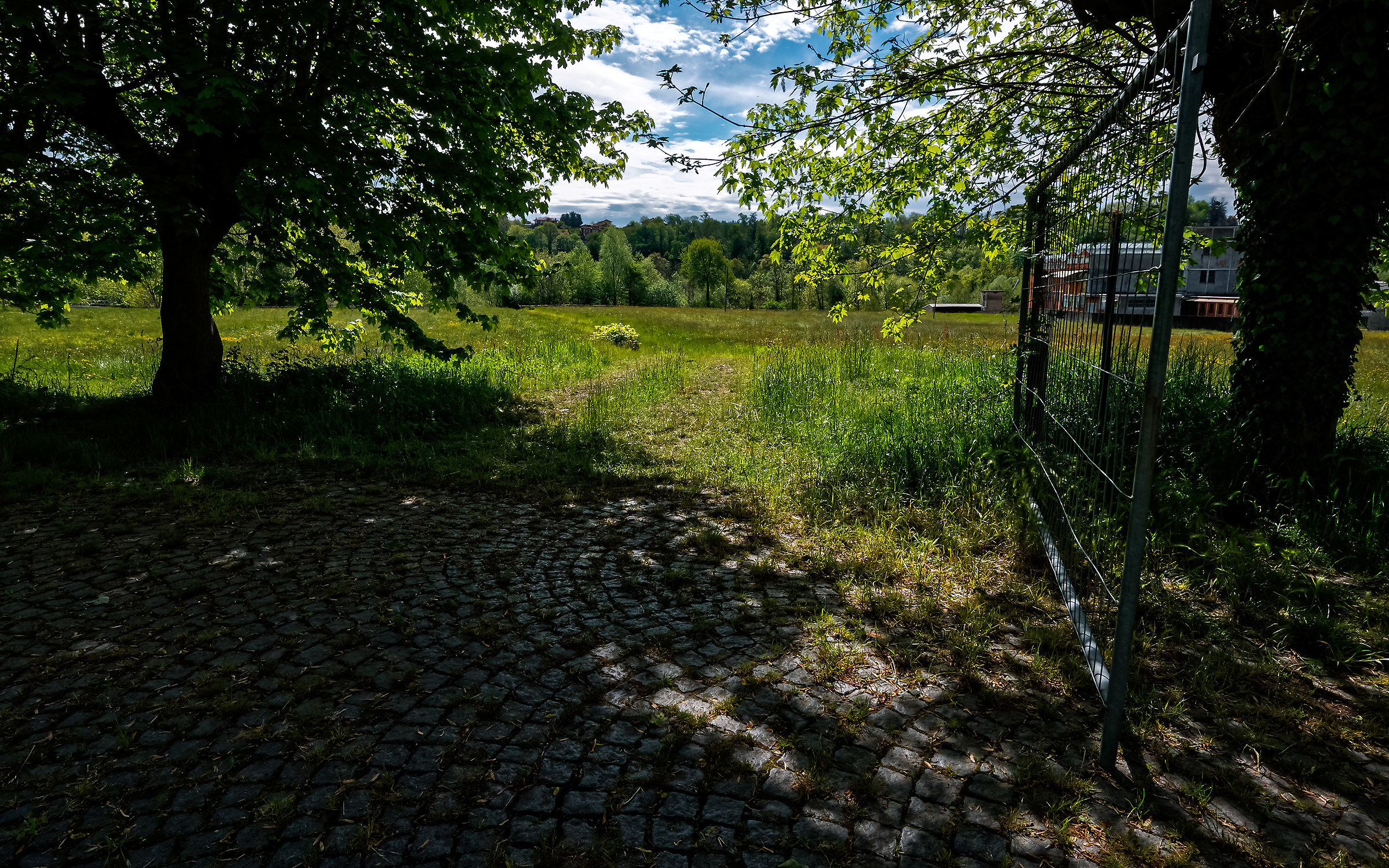 Gate between the trees to the green campaign