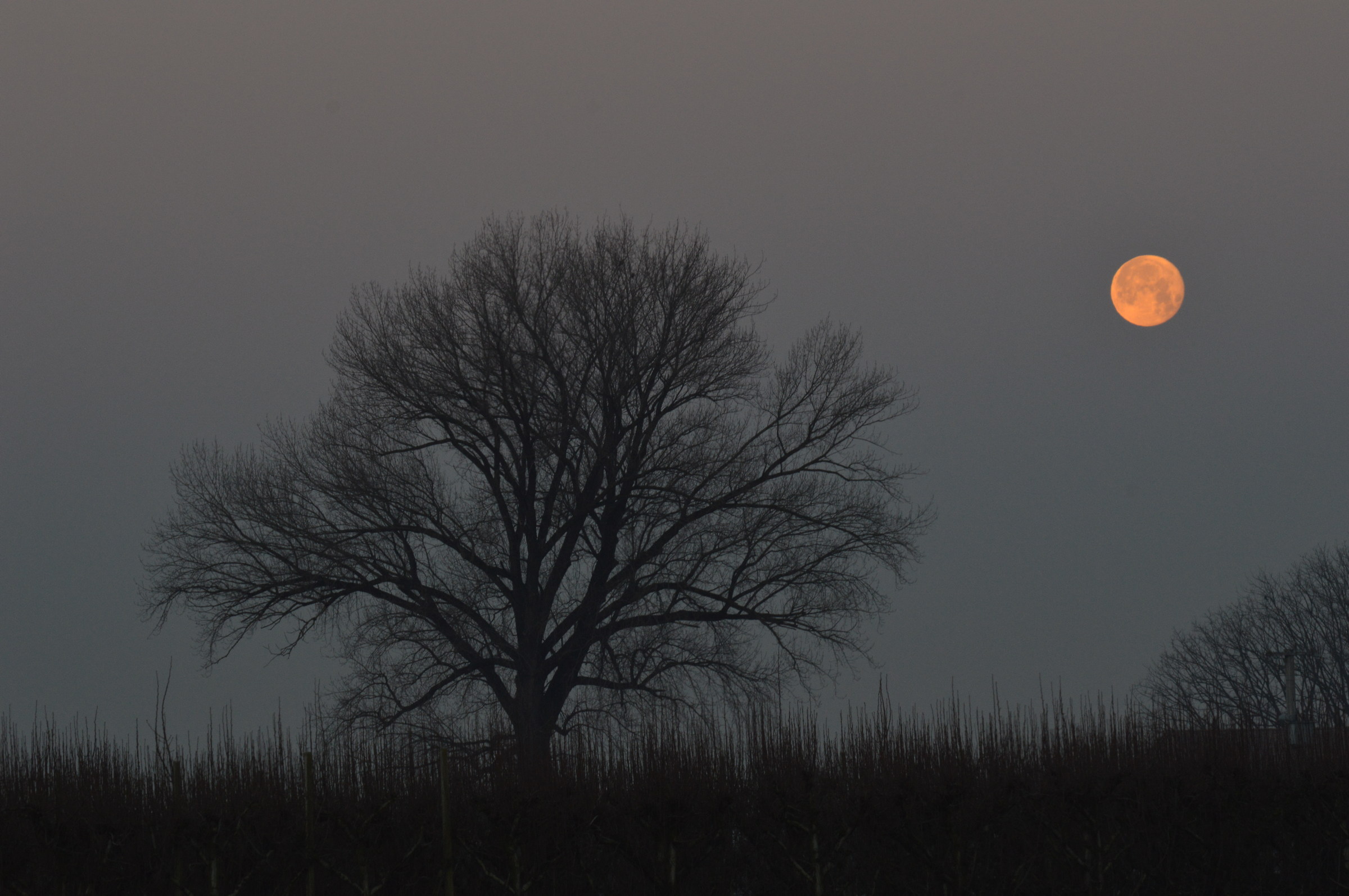 Waiting for a new day