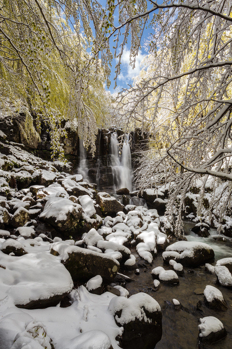 Between Winter and Spring