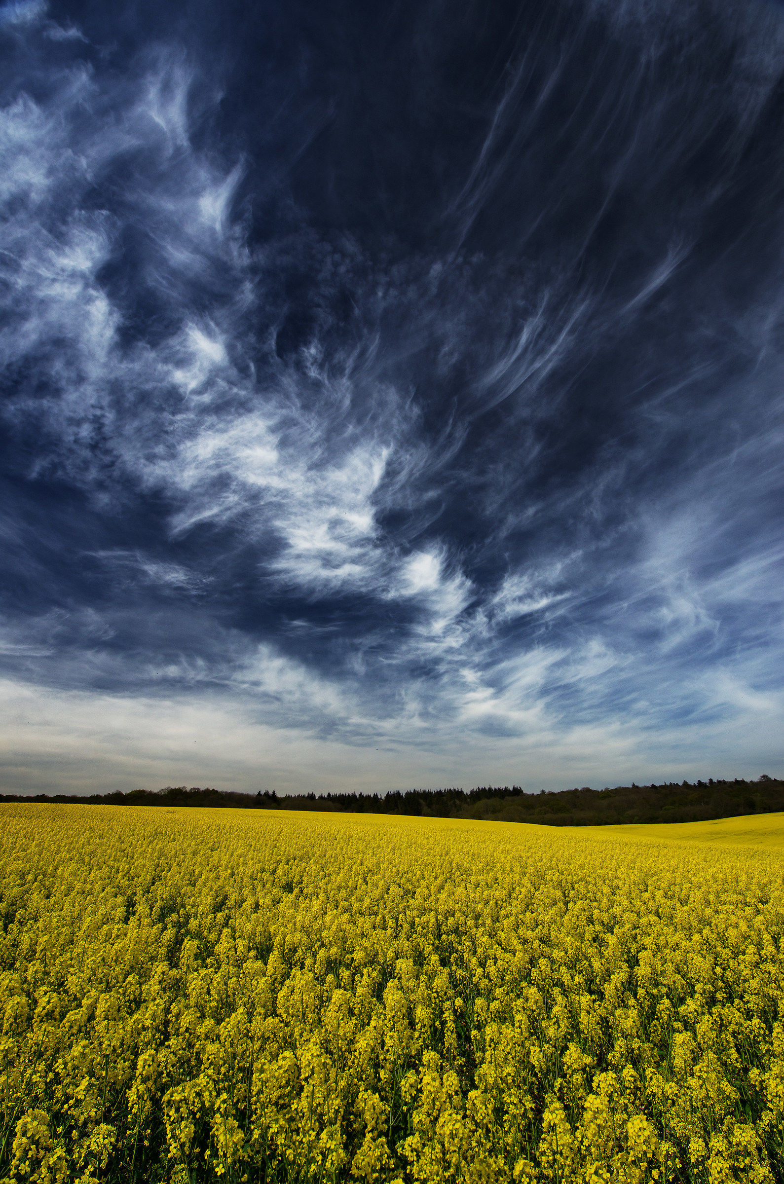 Yellow Seas and Marbled Skies...