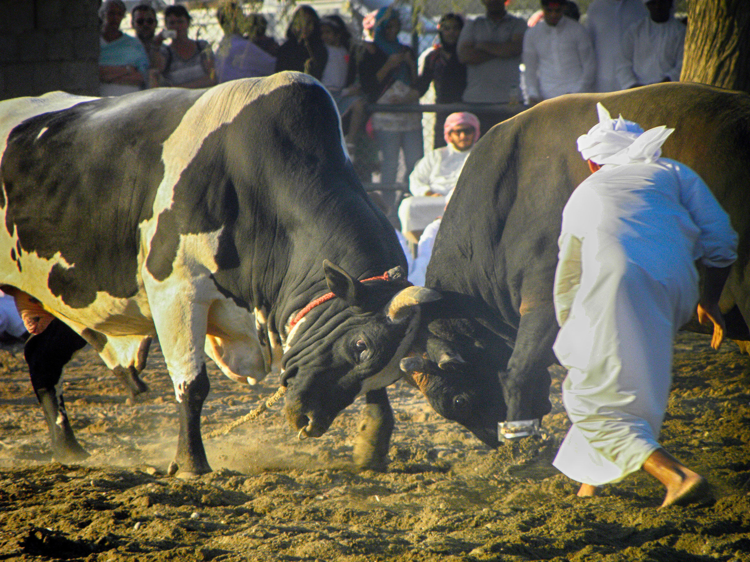 Fujairah ancient traditions