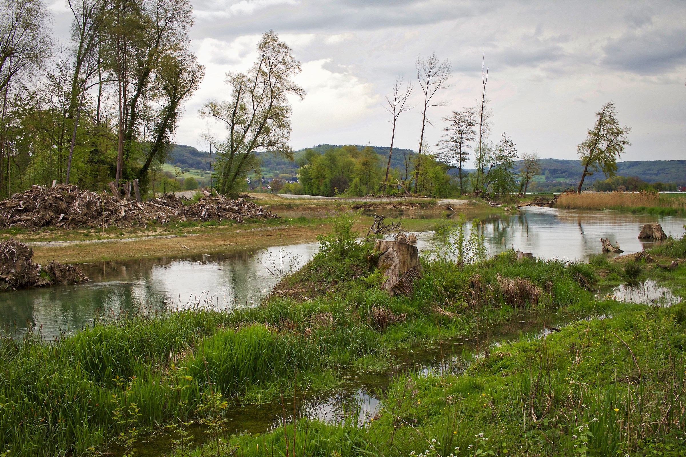 Auerschutzpark Aargau (ch) - the Rhine River