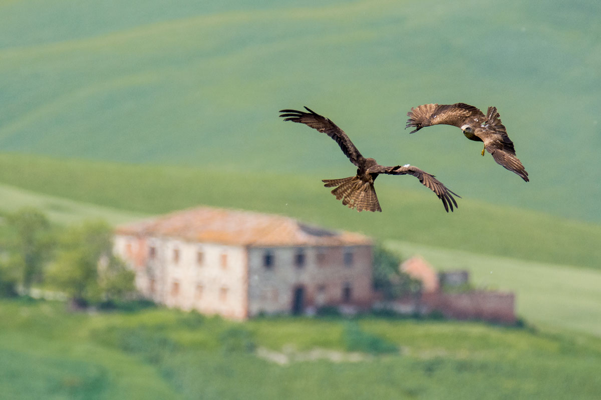 Combattimento sopra le crete