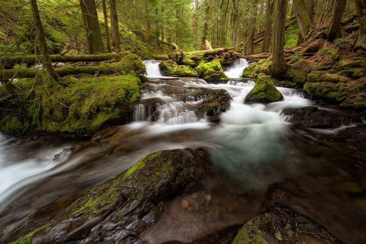 Panther Creek Falls, WA