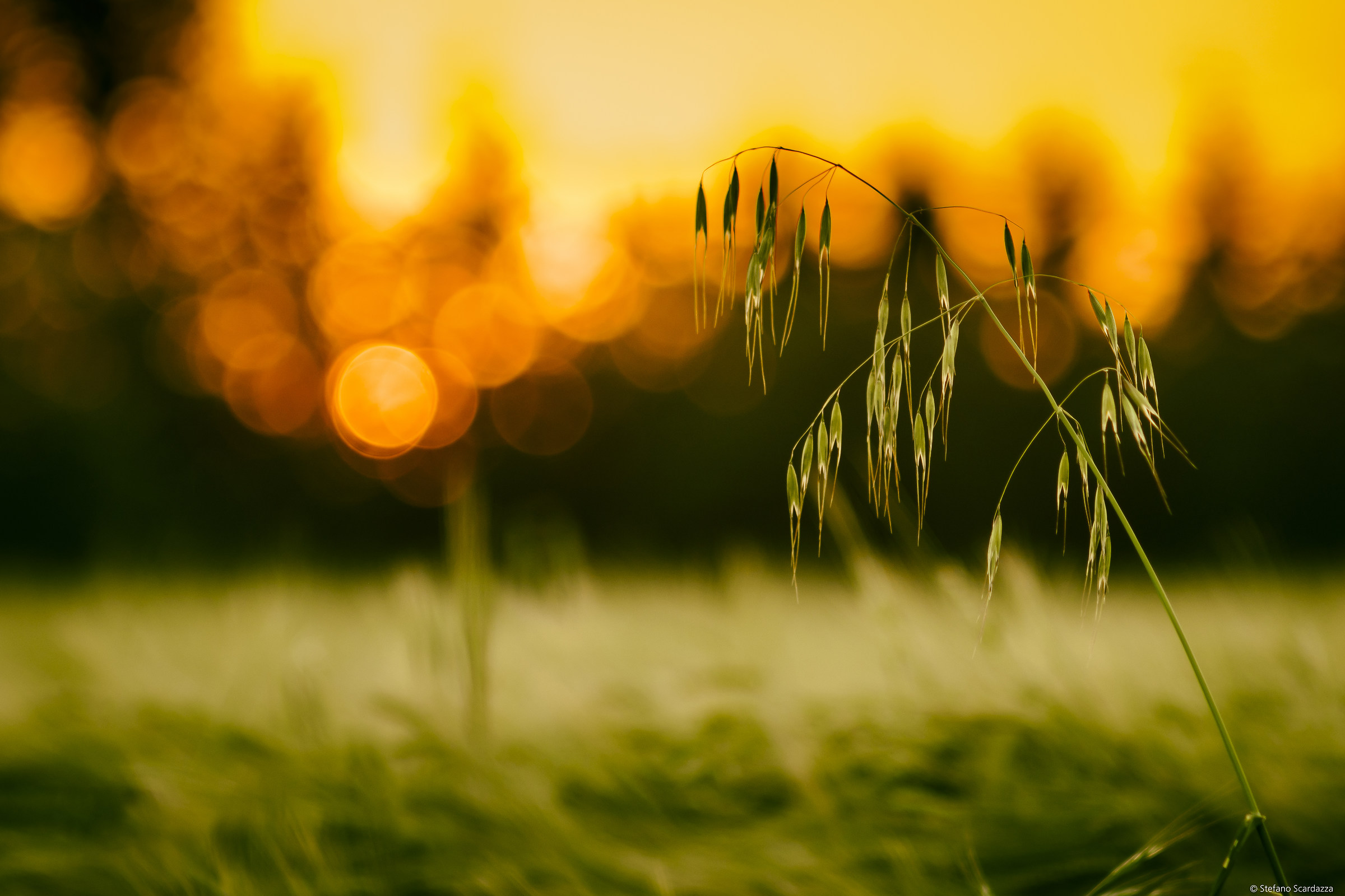 the magic of vintage