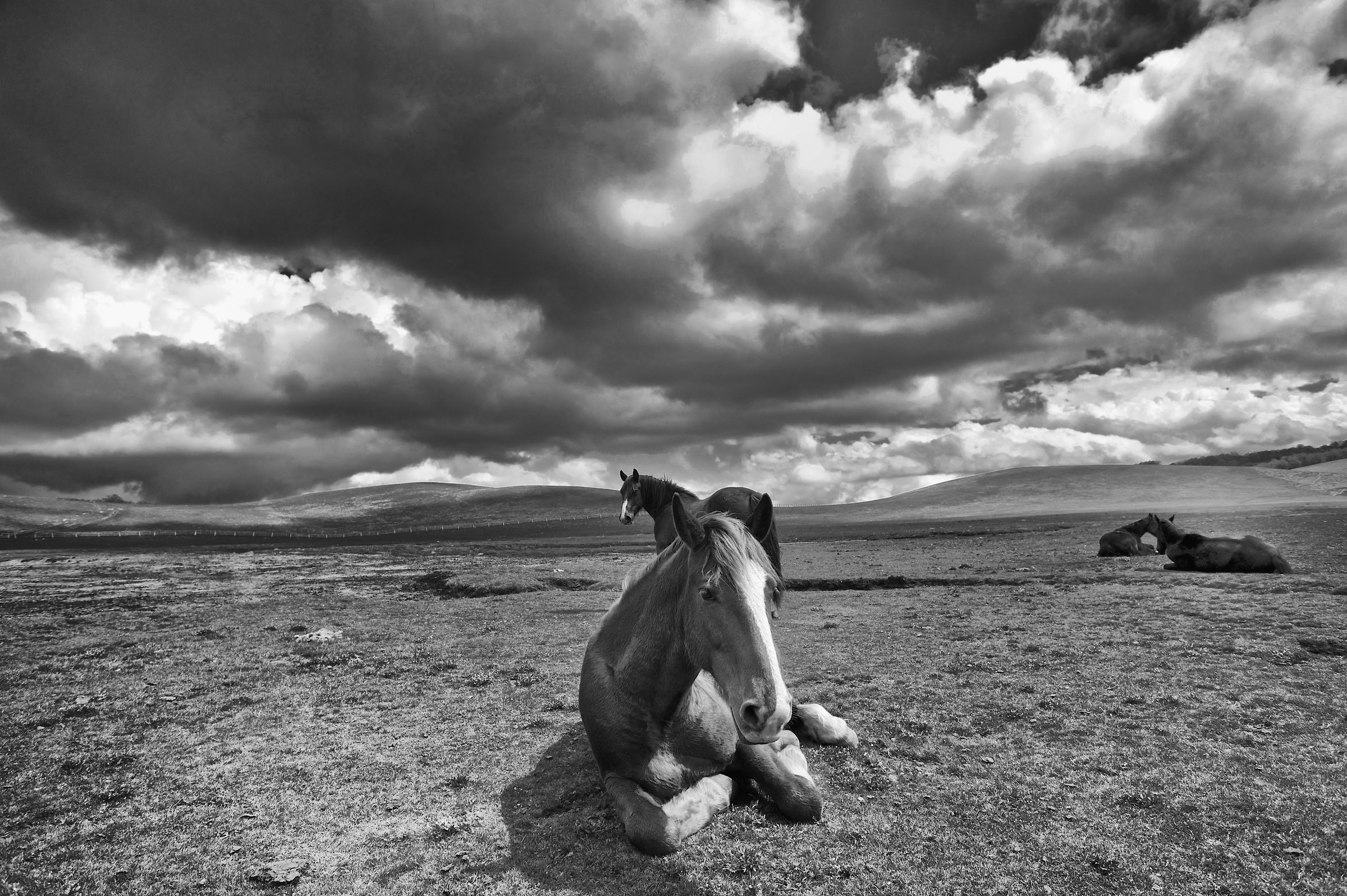 My name is gray cloud