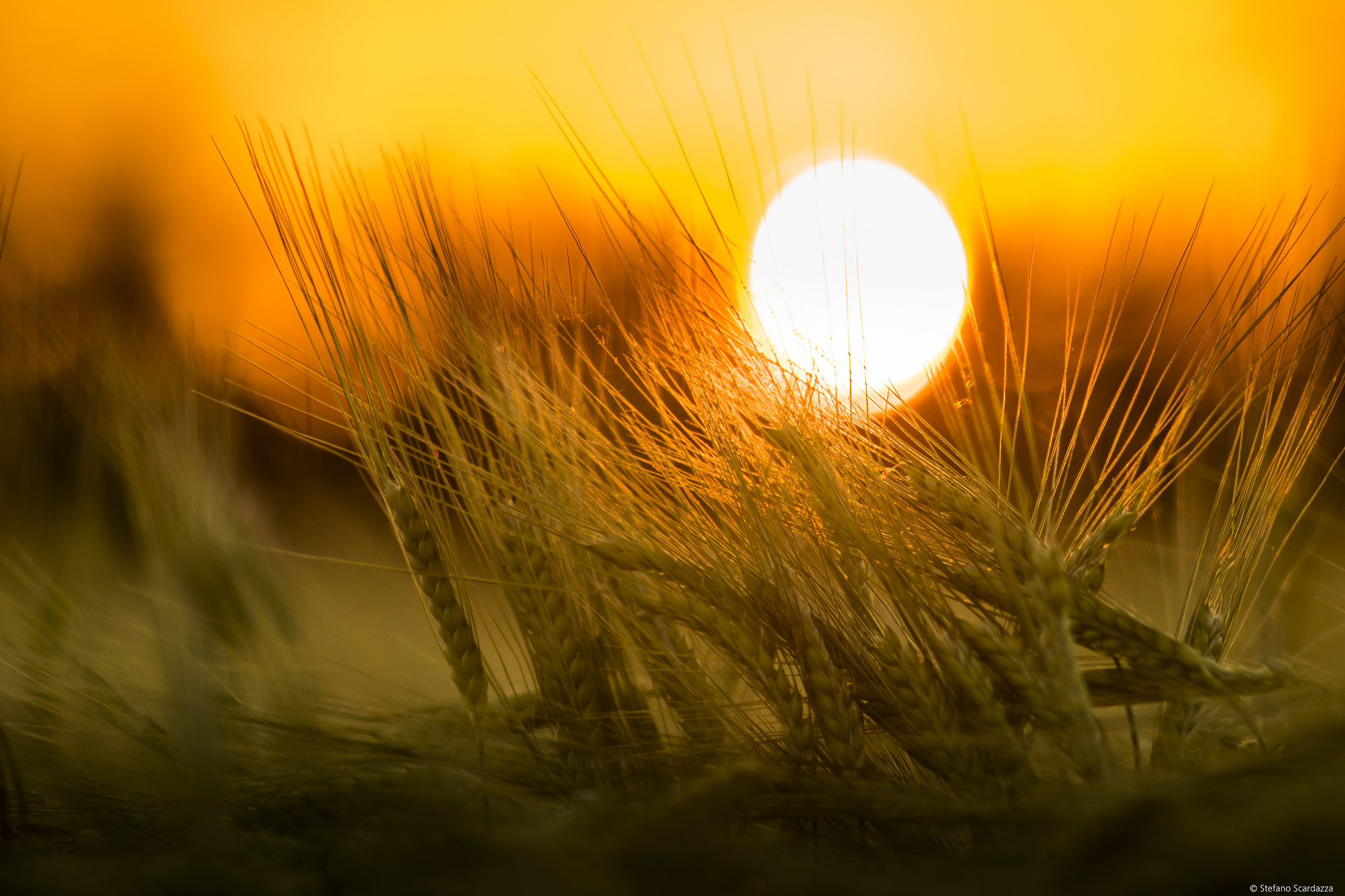 the magic of vintage