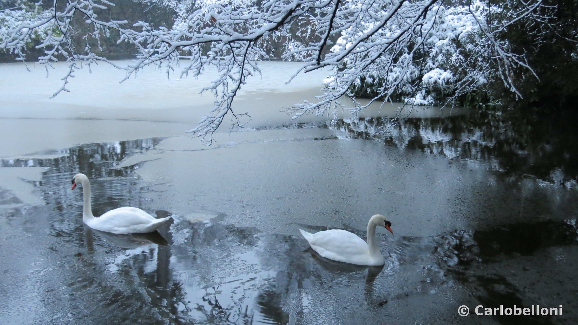 .. sul lago ghiacciato ...