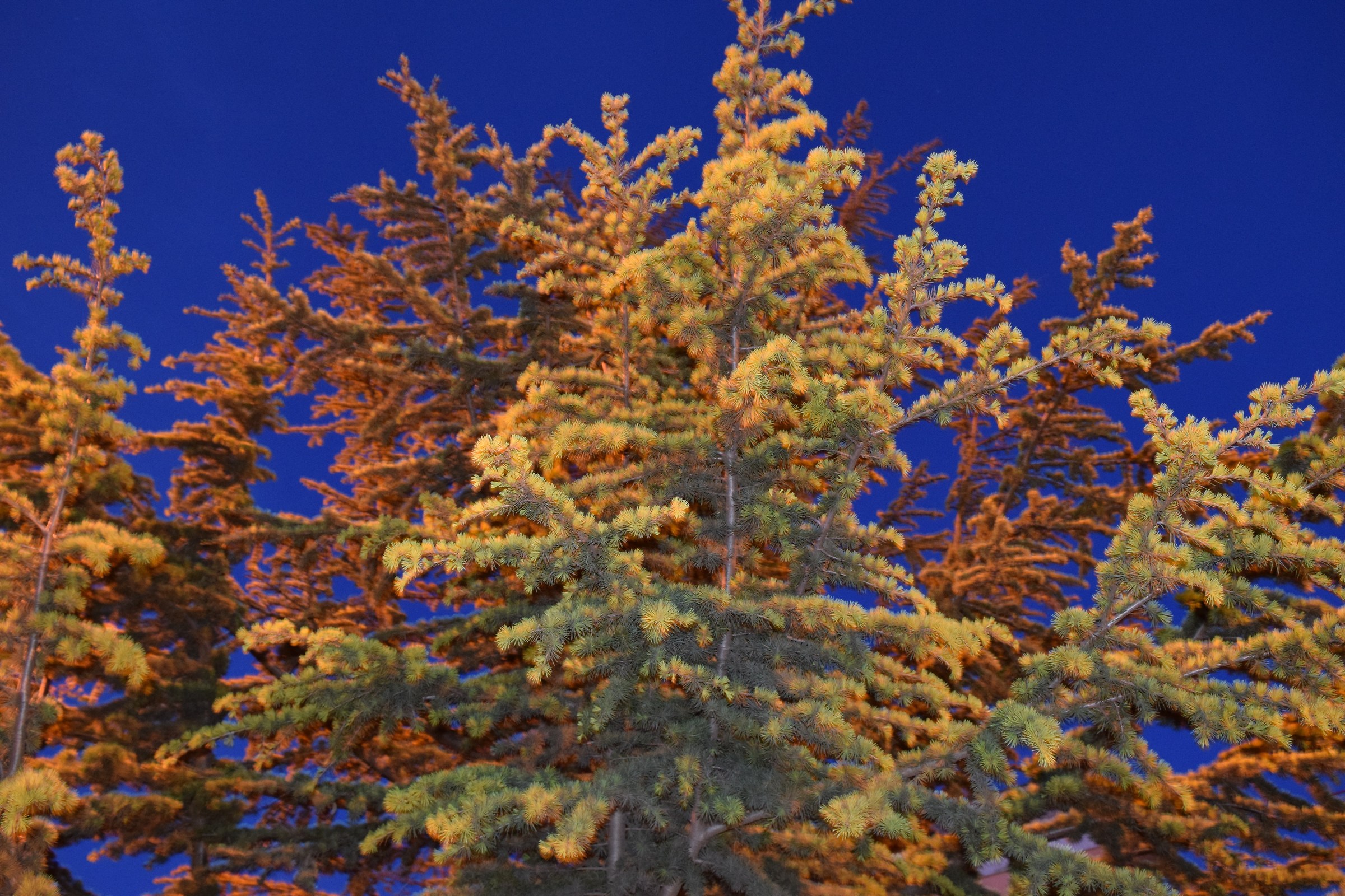 L'imperfezione come regola d'arte