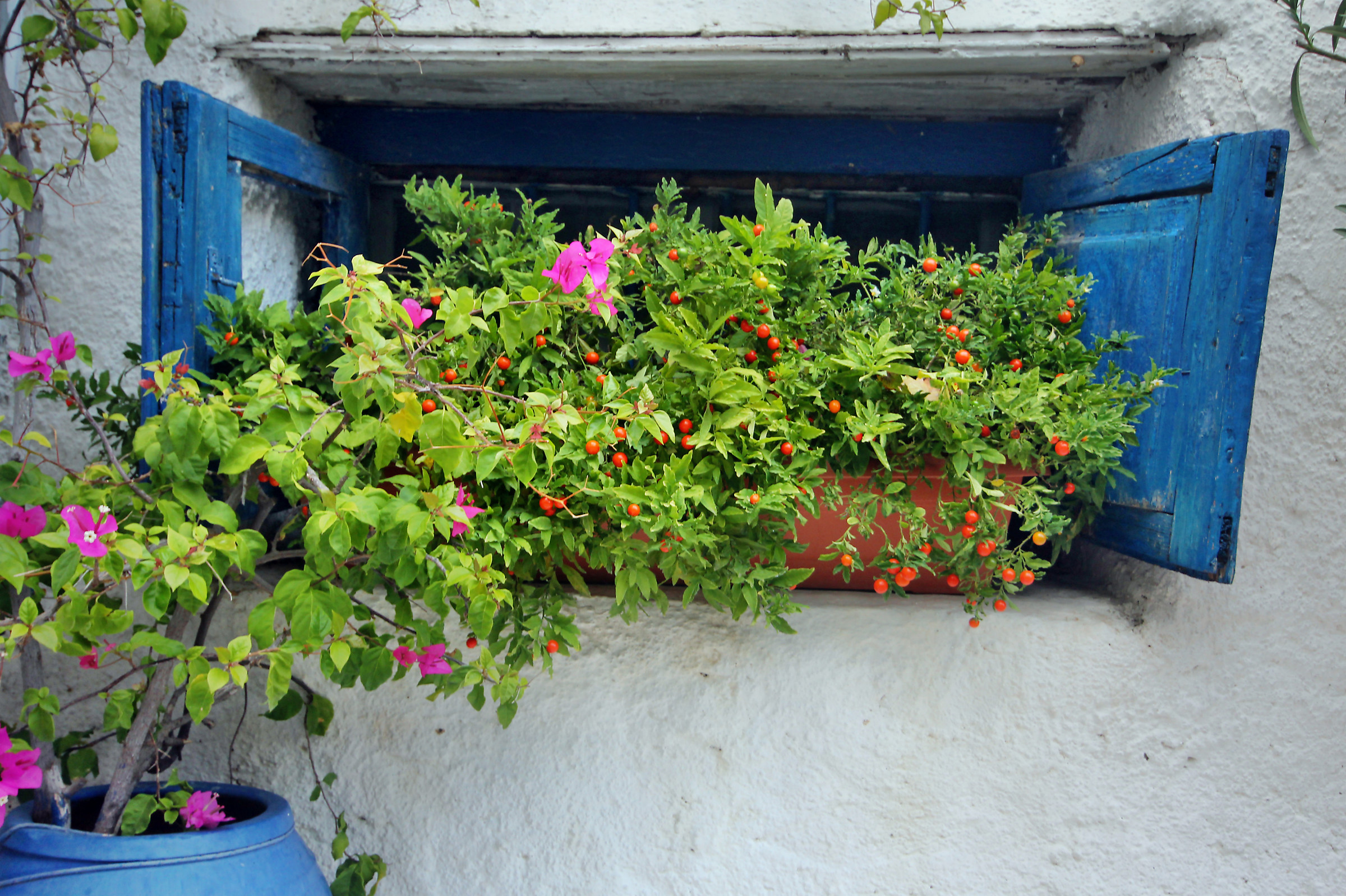 Bianco + Blu + Verde