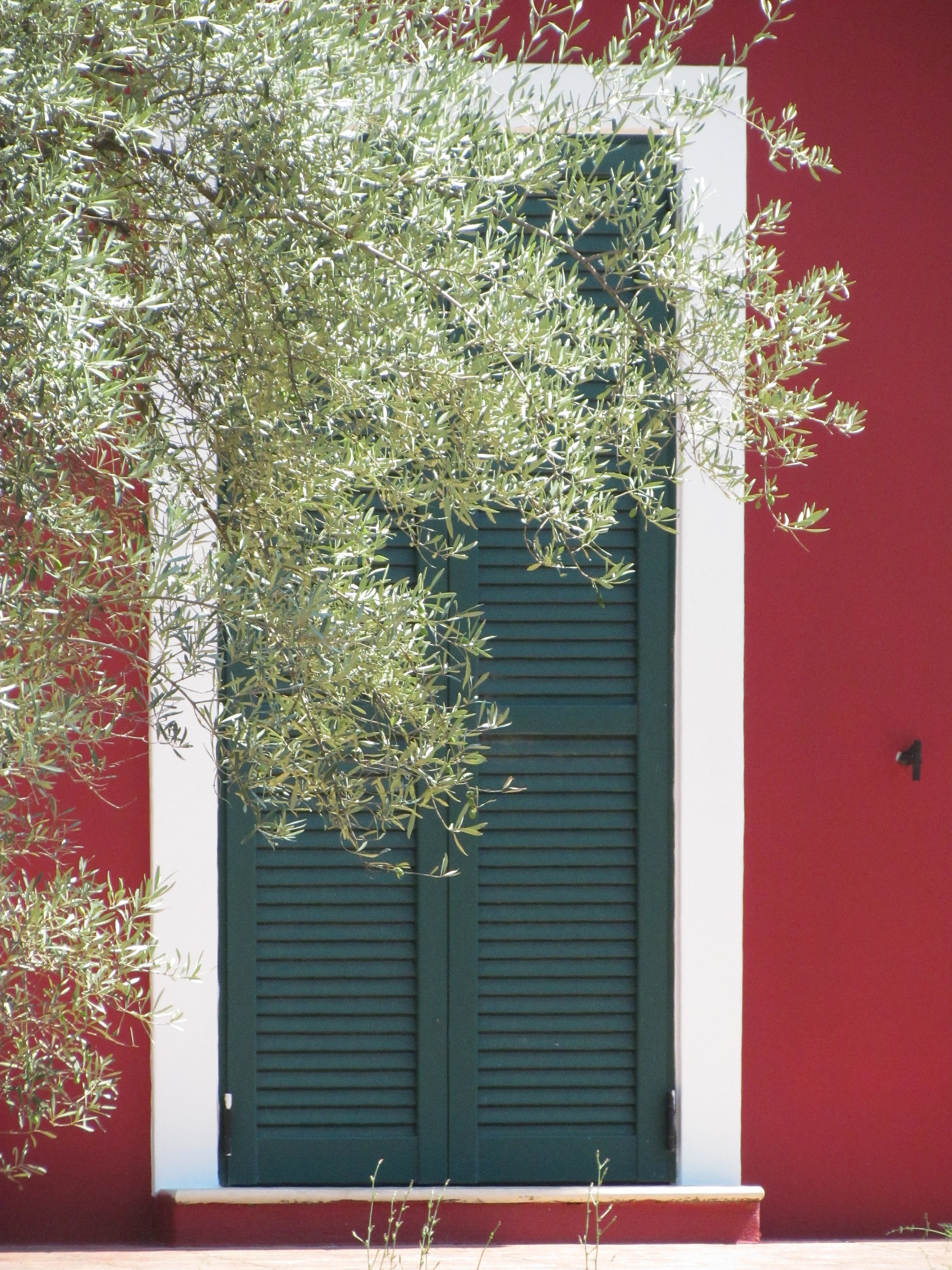 colore Greco - Lefkas