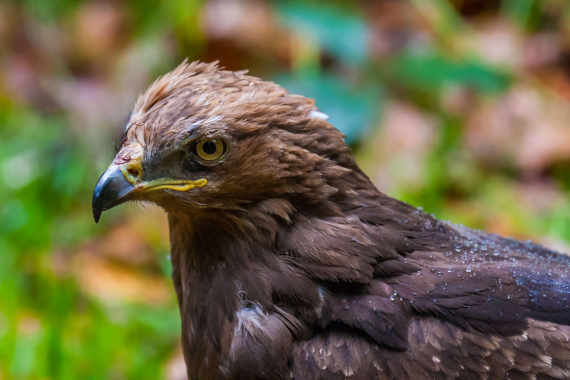 What you looking at?