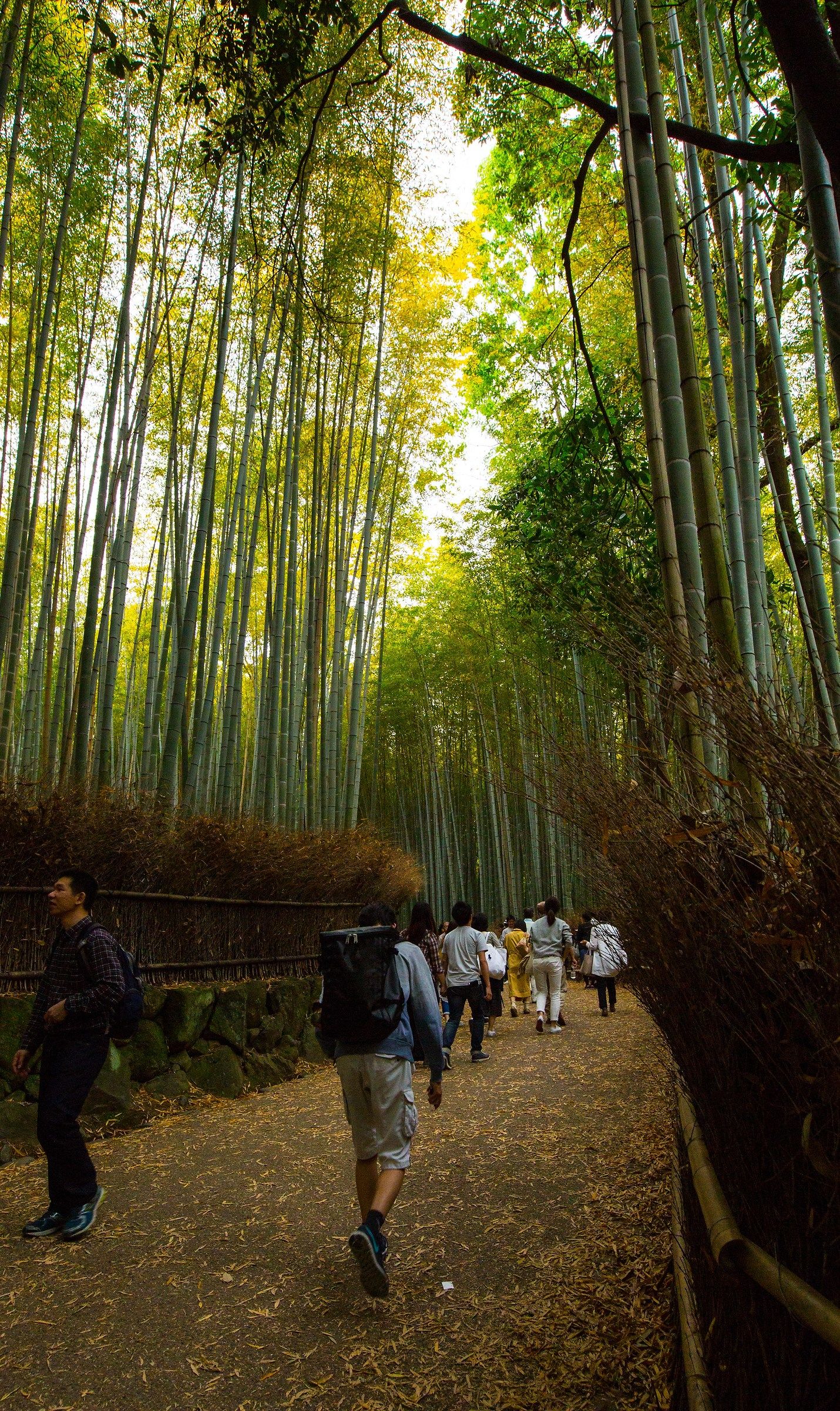Arashiyama Kyoto