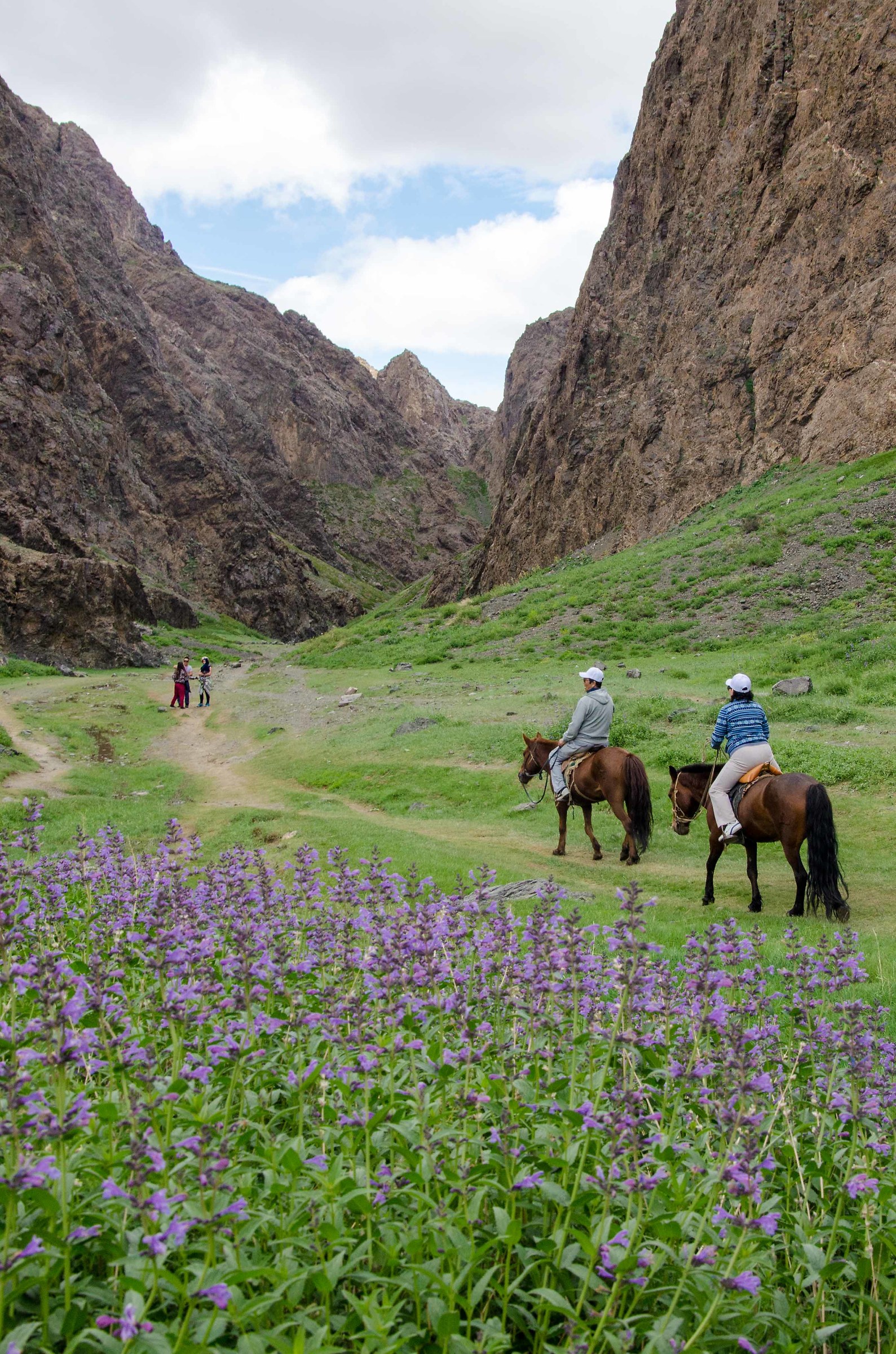 Al trotto nella valle