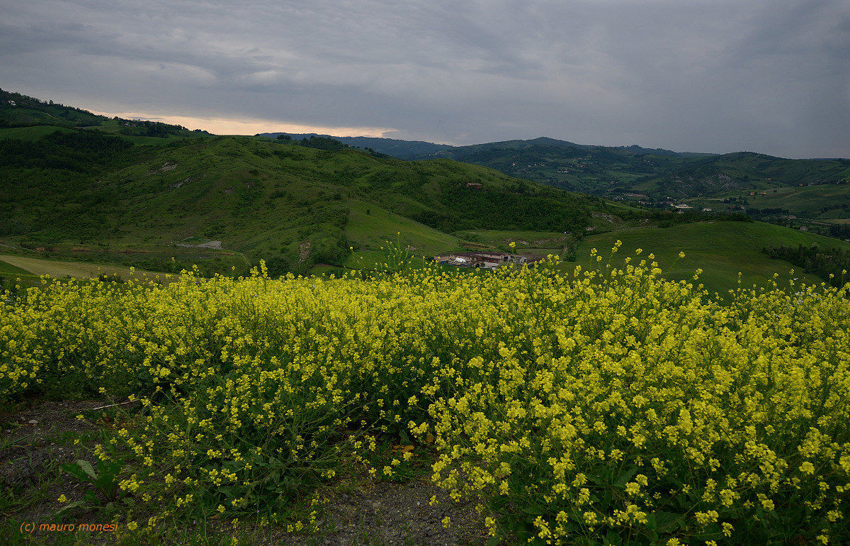 Waiting for the bad weather