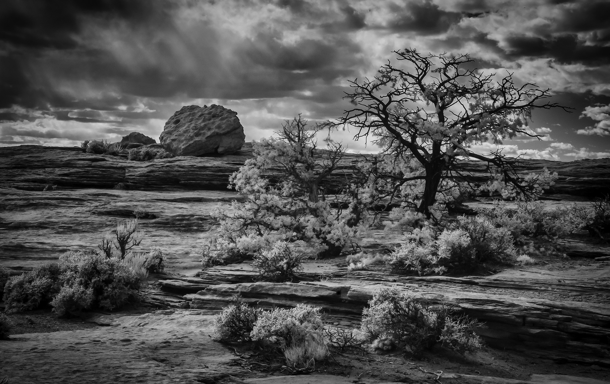 Navajo terre Northeastern AZ