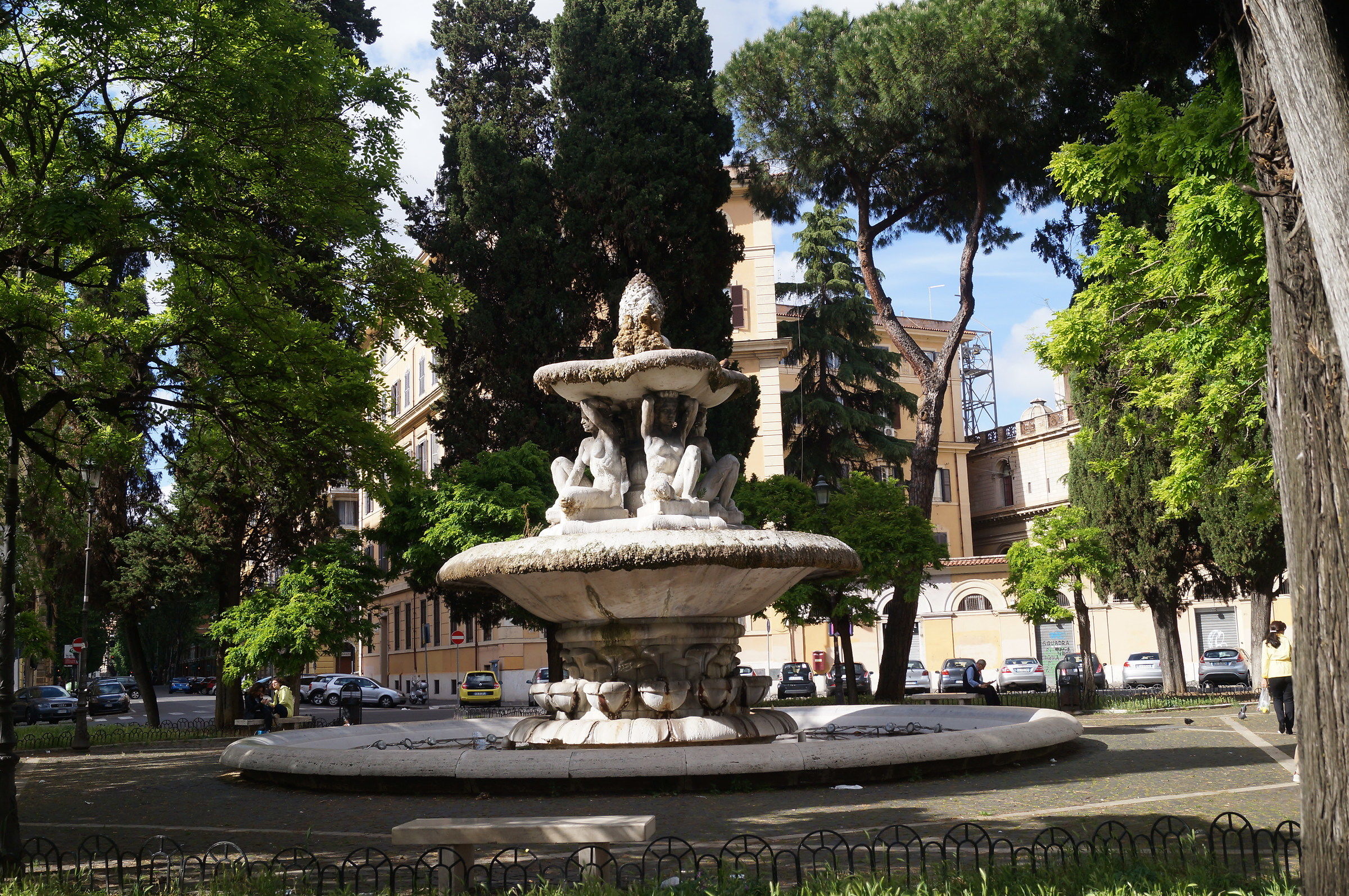 1 May 2016 fountain grass (roma)