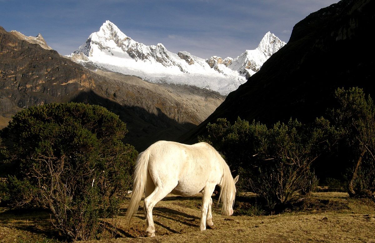 Sul trekking di Santa Cruz