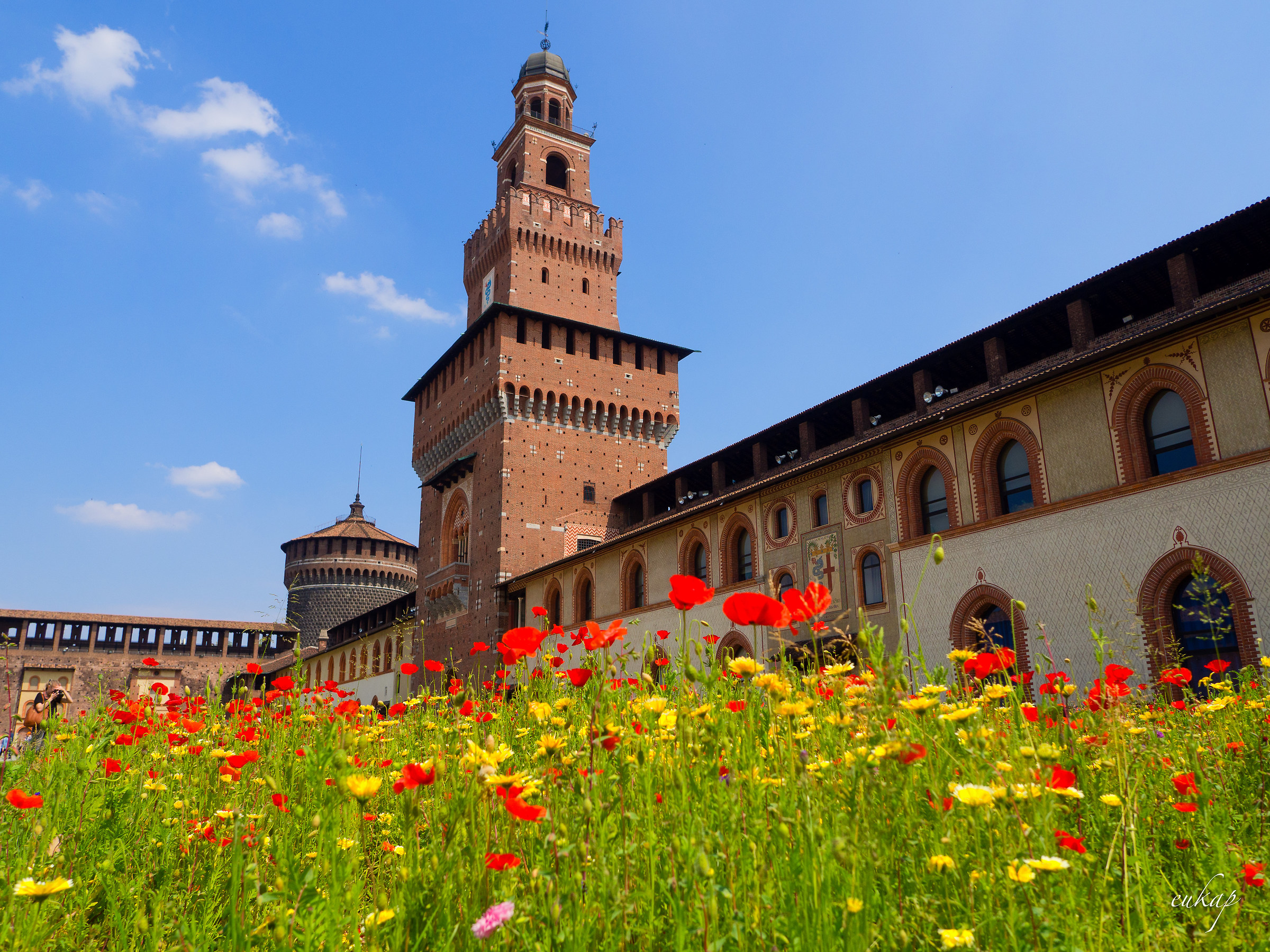 The castle of poppies
