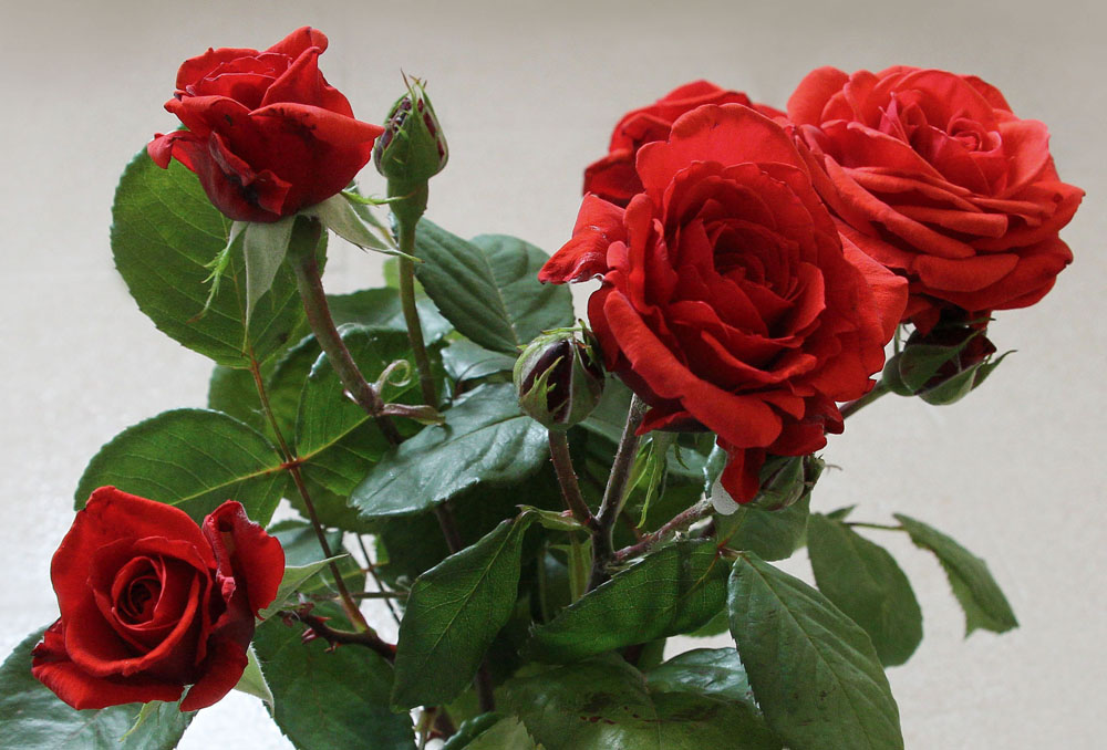 Per tutte le mamme!!!