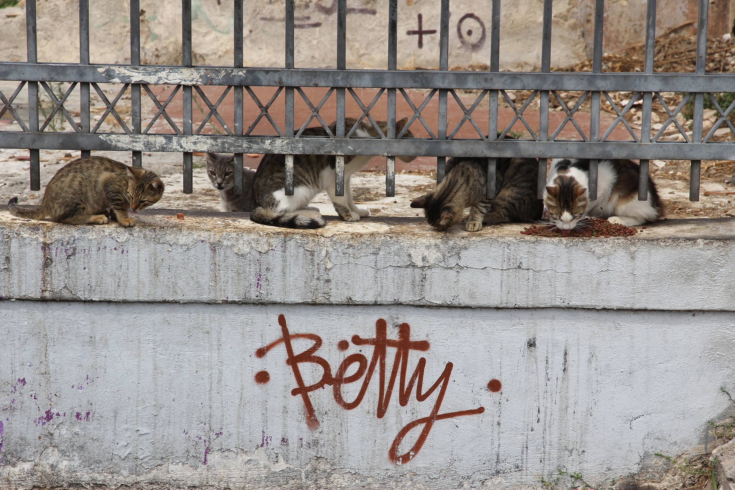 "Betty"