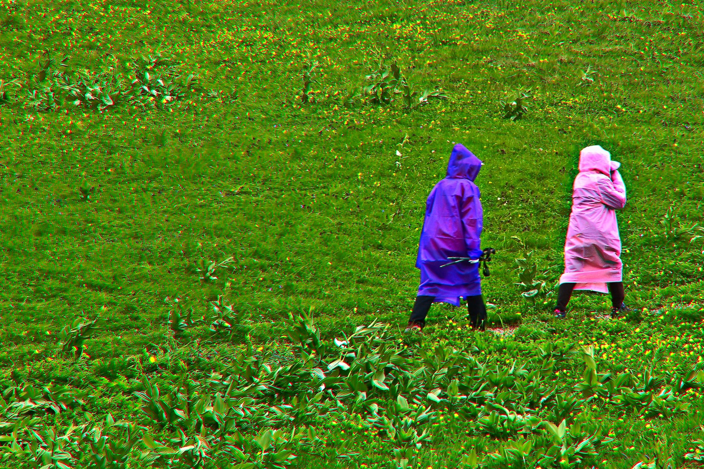 ... And it continues to rain.