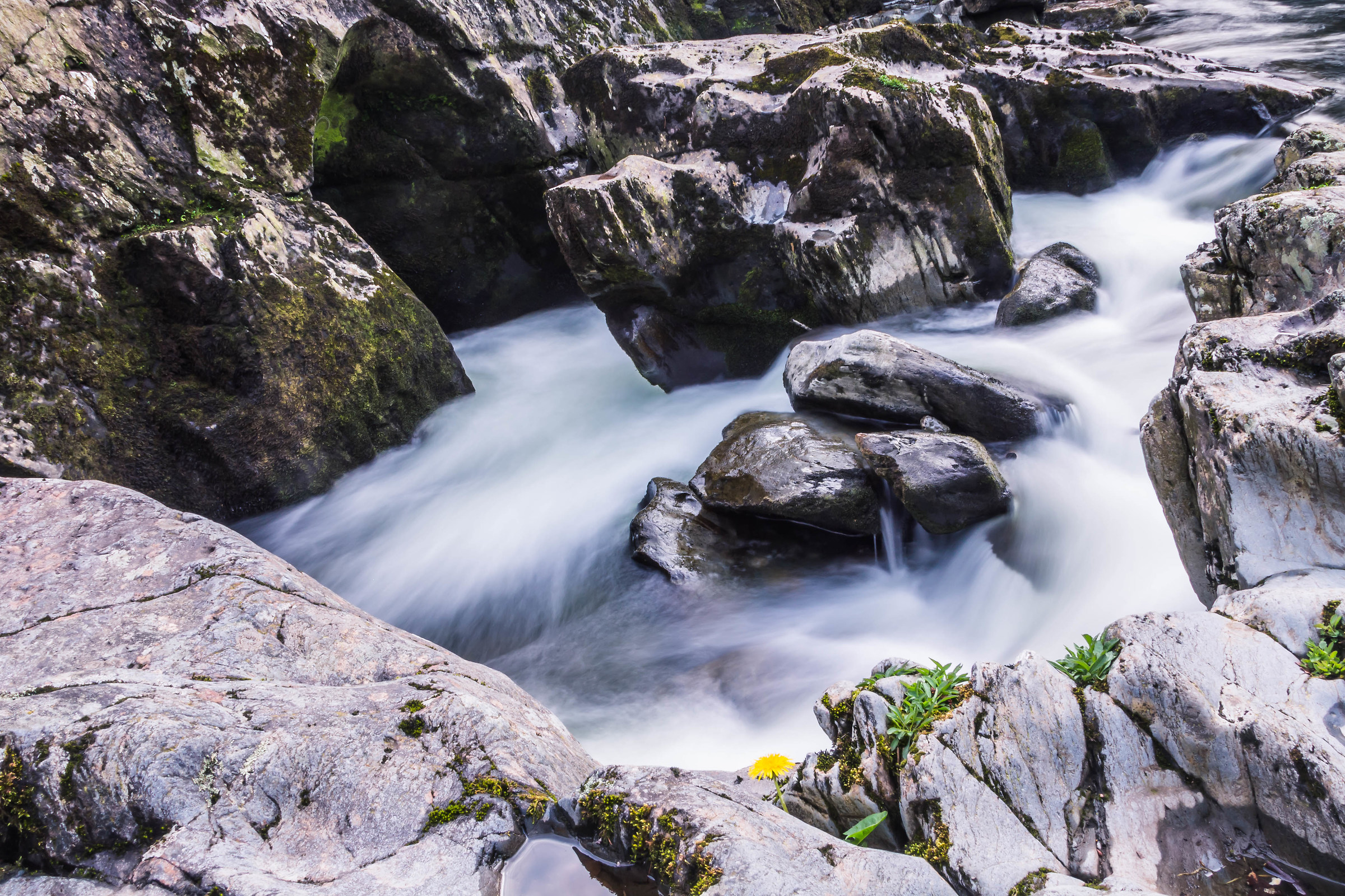 Swallow Falls, Gwydyr Forest, Snowdonia National Park