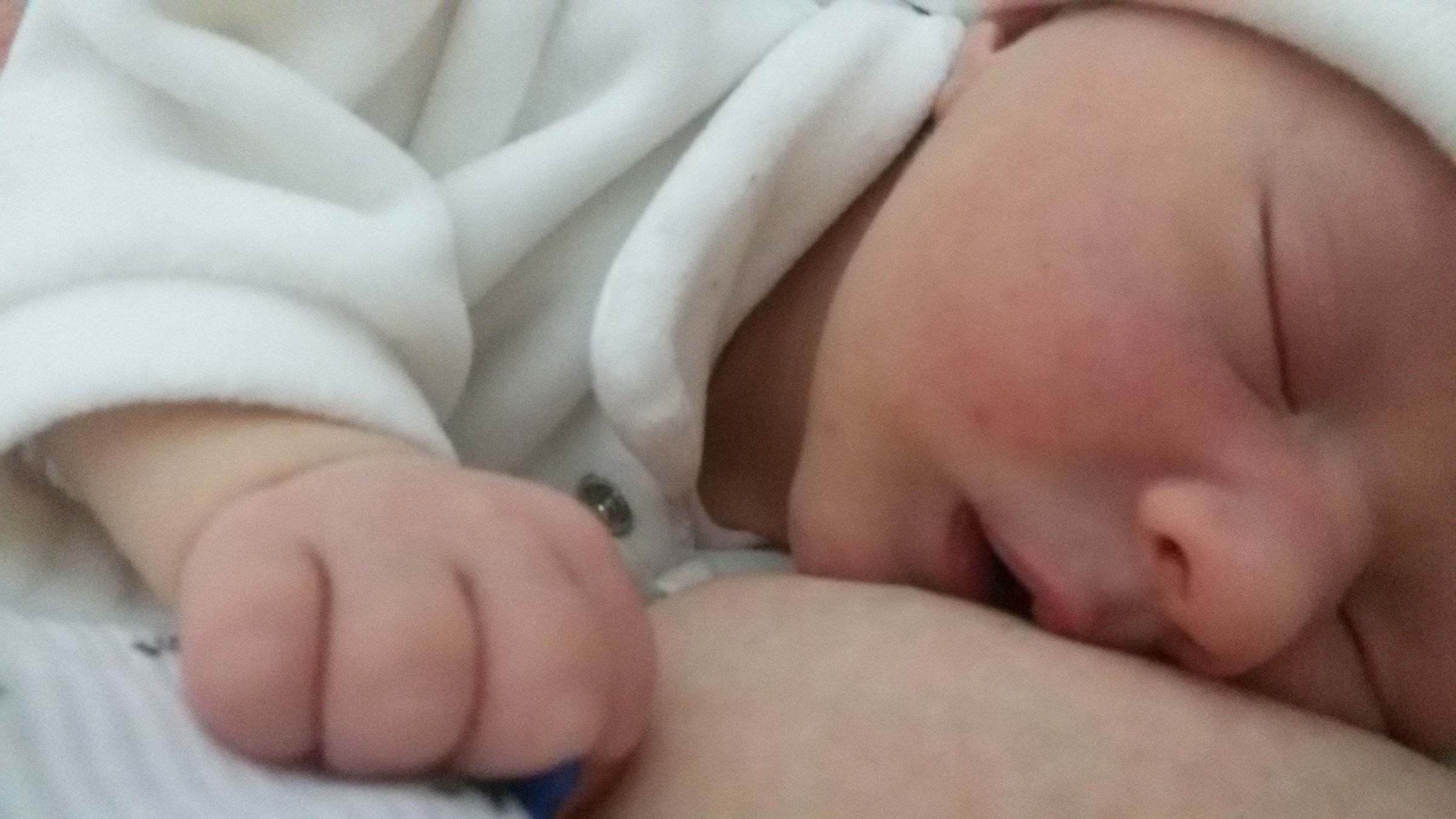 e' perfetta in tutti i dettagli